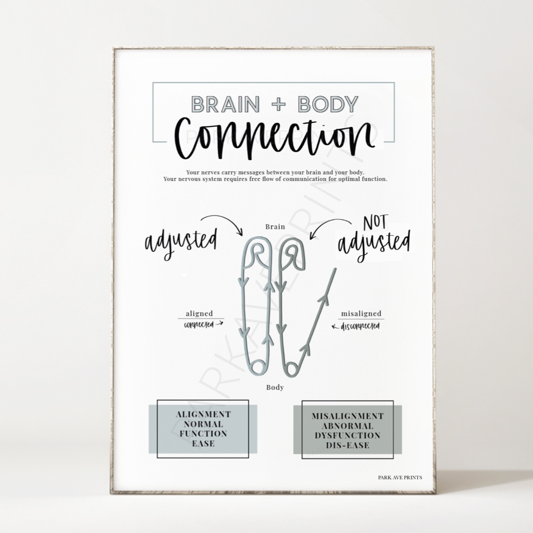 Brain Body Connection Poster