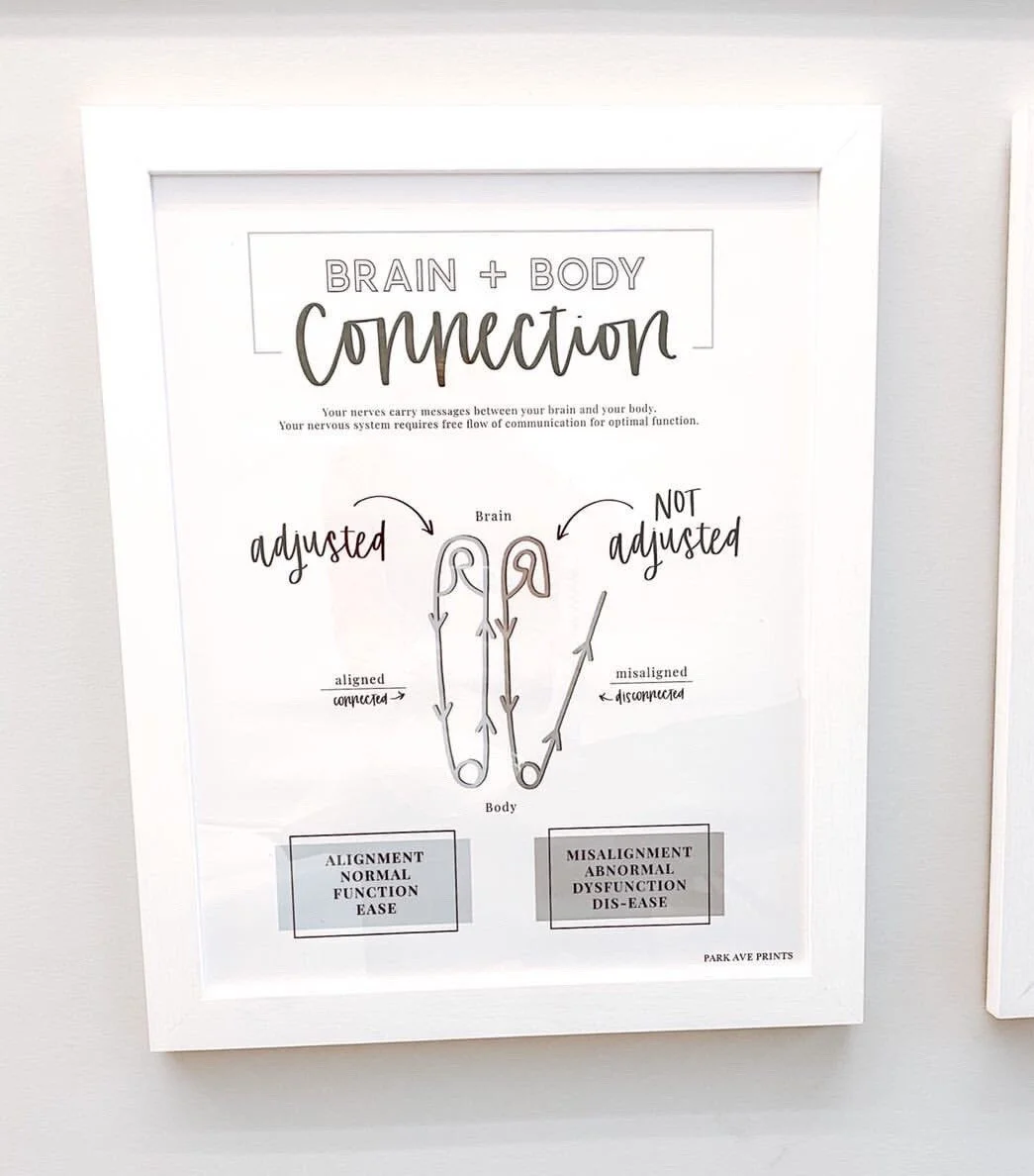 4AA50BC2-A788-4203-A4A3-ECB8B27F555A