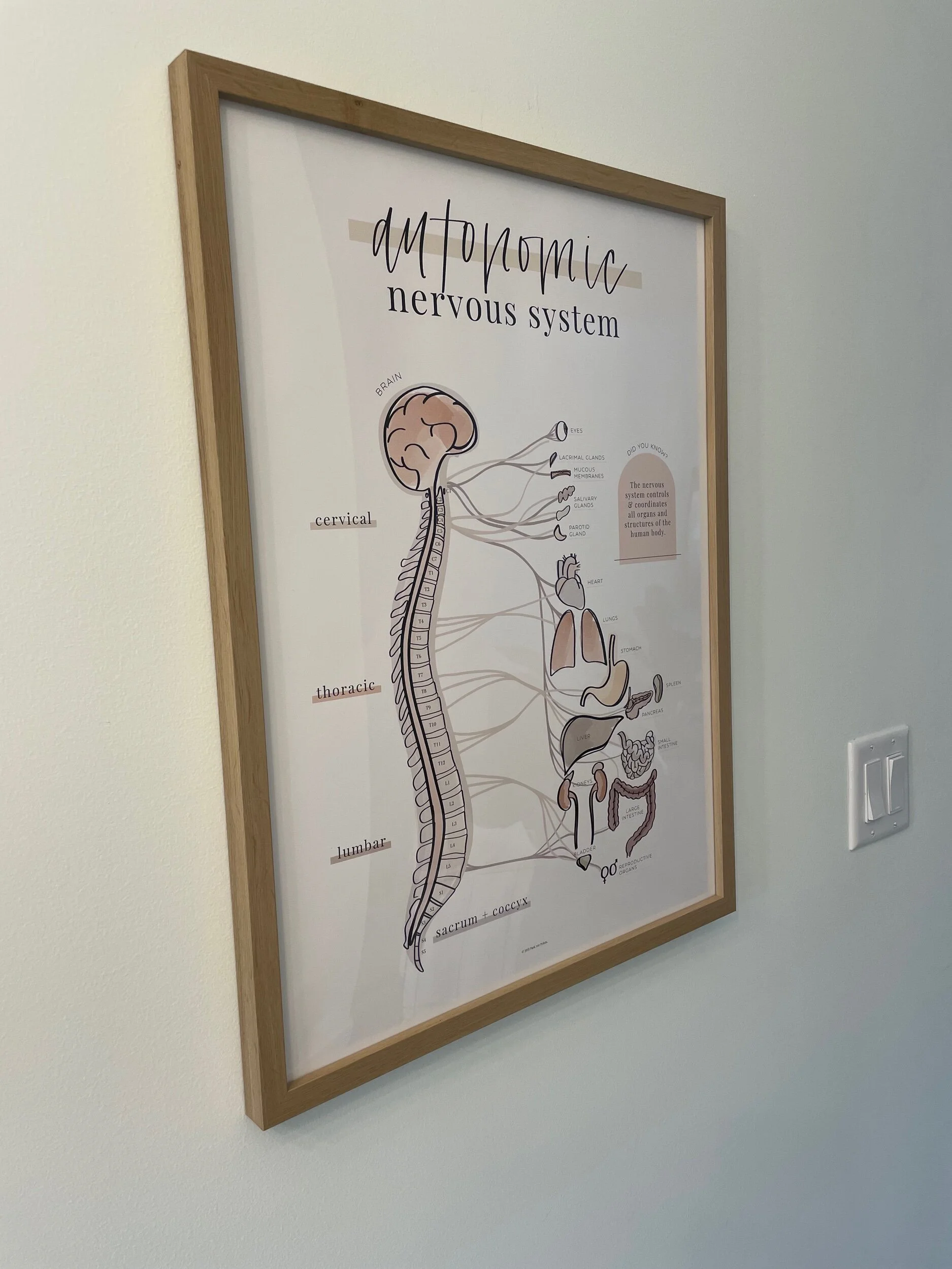 ECDA8E84-02D2-40A8-A693-567213C00F94