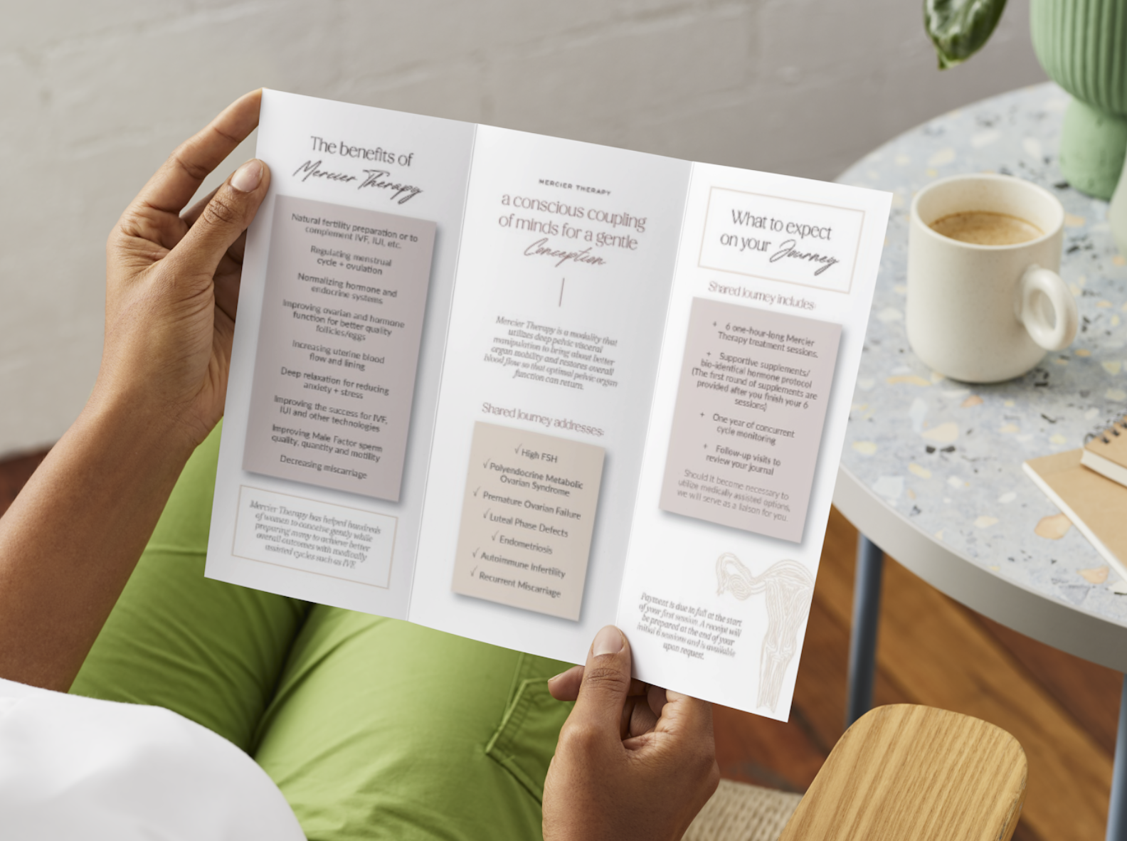 New! 2026 Shared Journey - Mercier Therapy Brochures