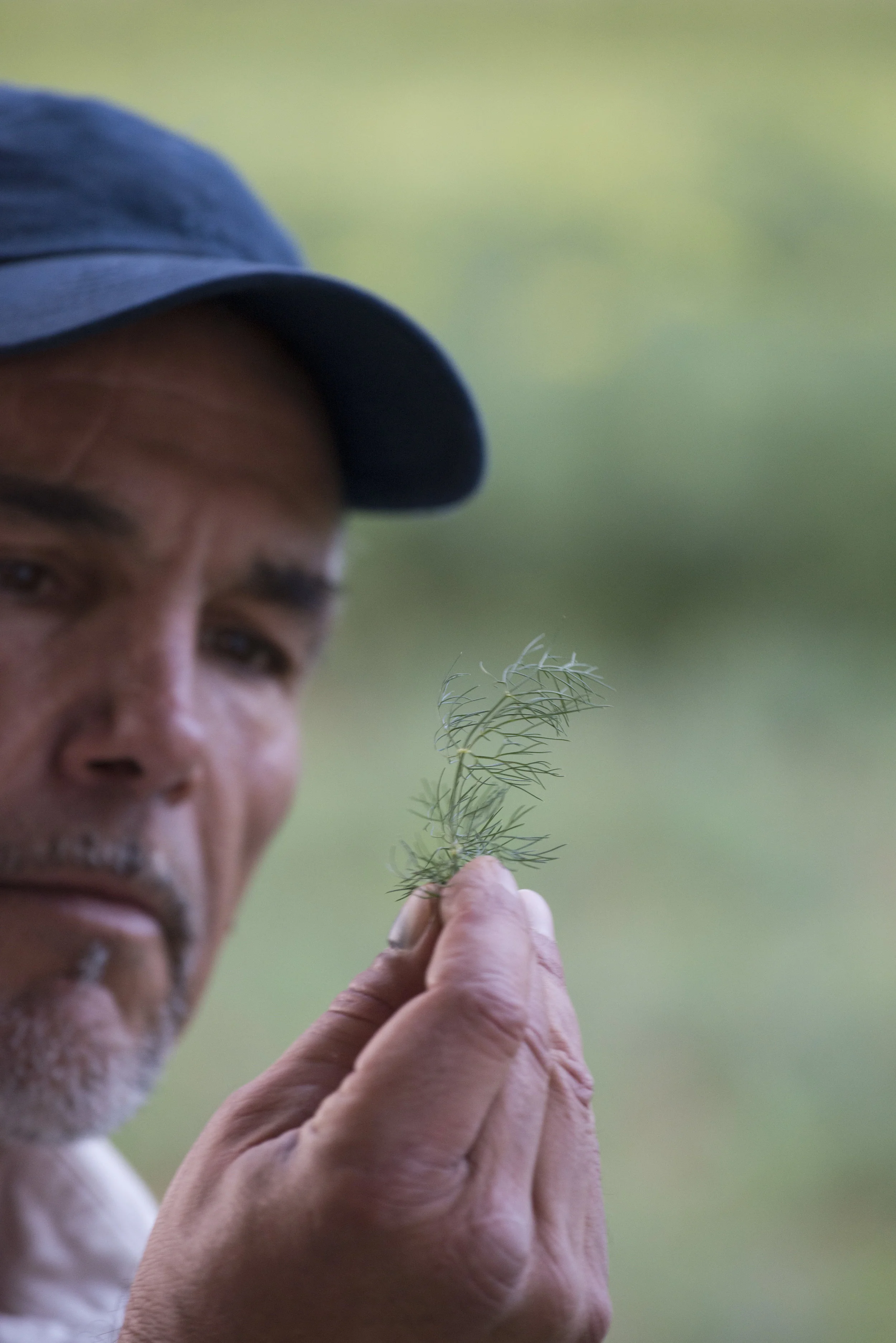 SPICE ISLANDS_145.JPG