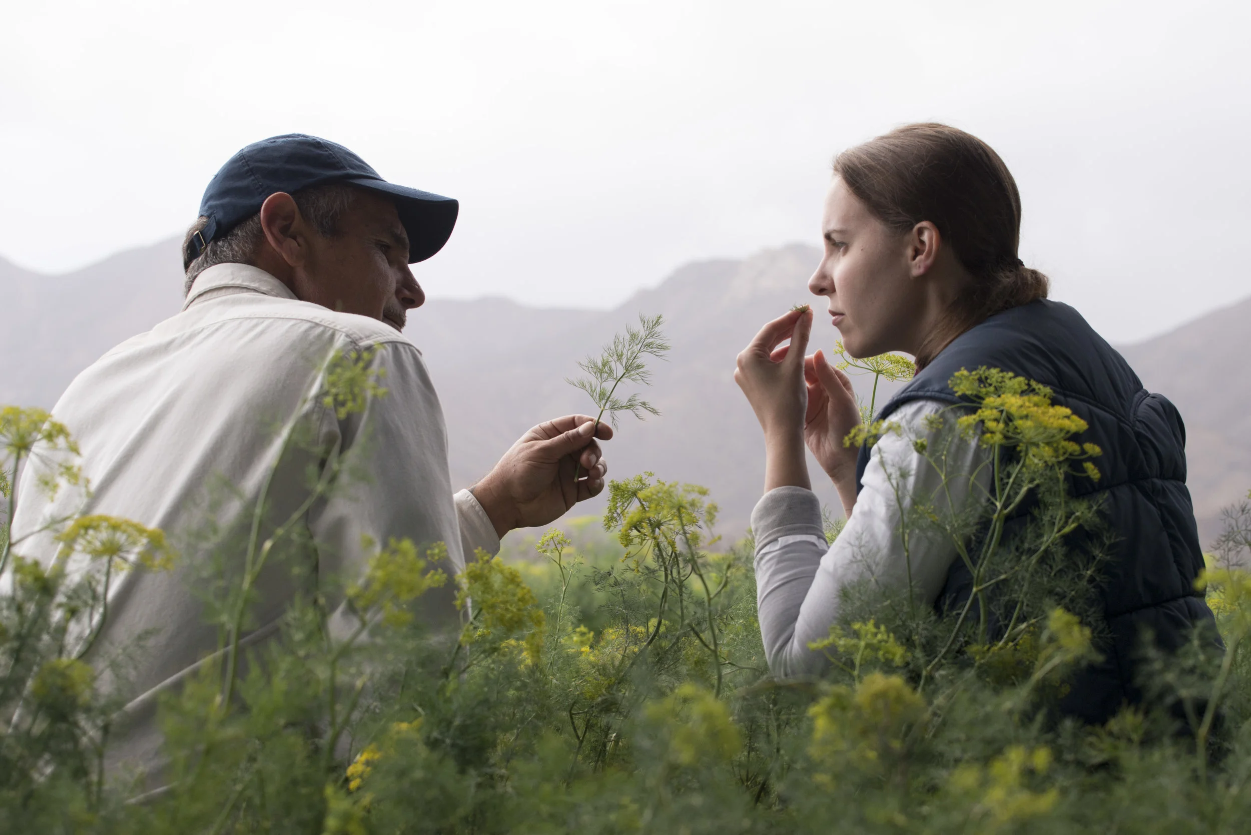 SPICE ISLANDS_177.JPG