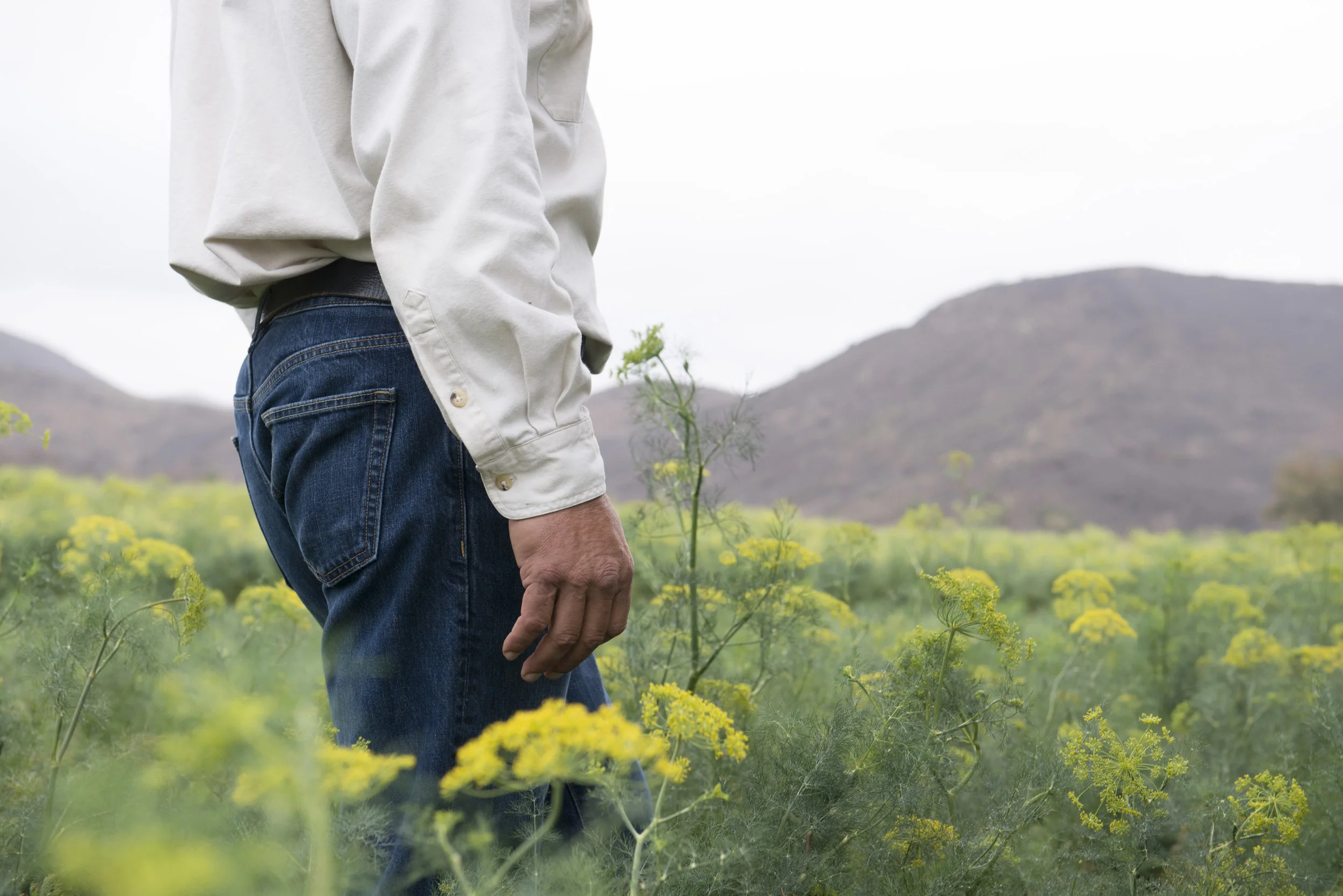 SPICE ISLANDS_202.JPG