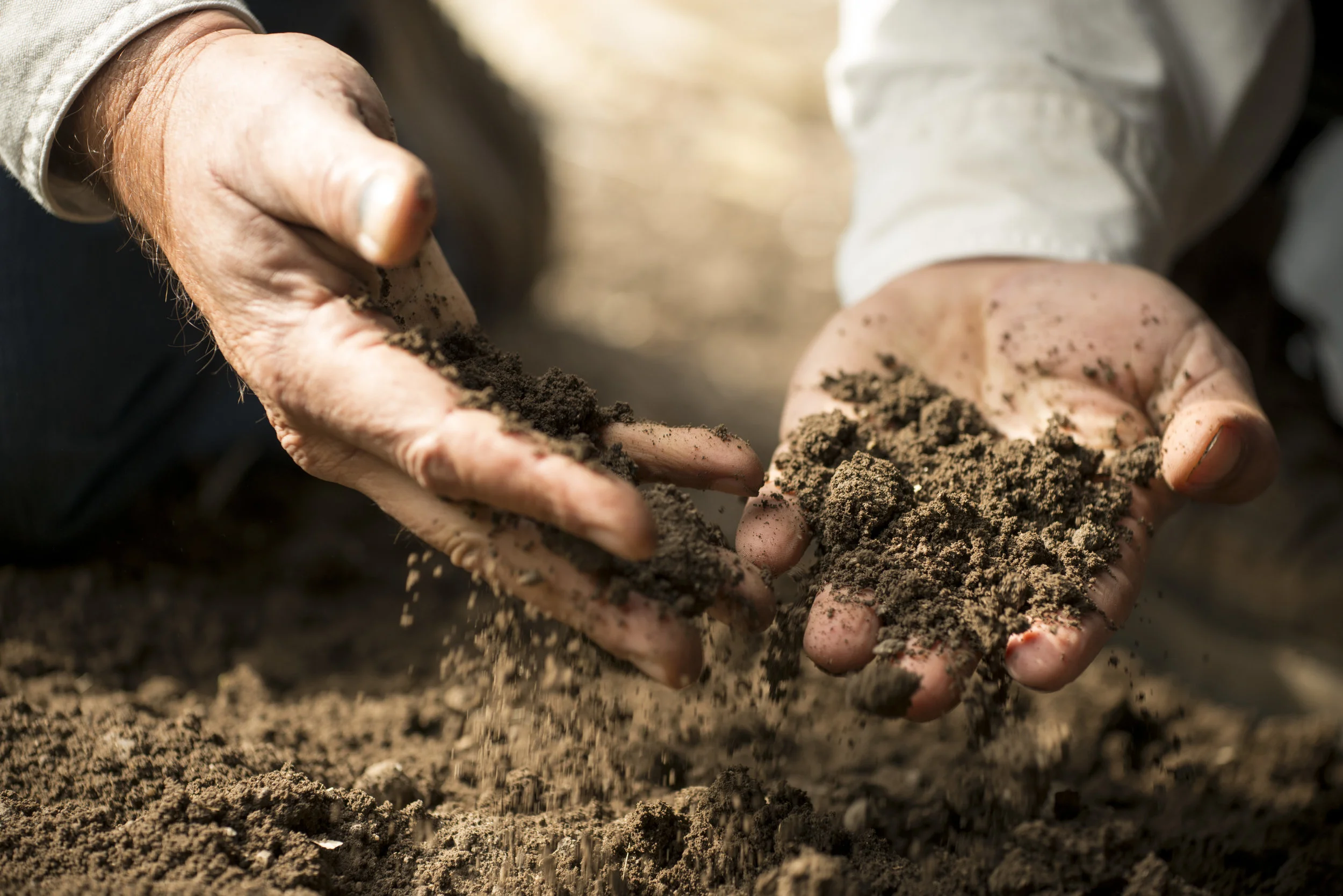 SPICE ISLANDS_304.JPG