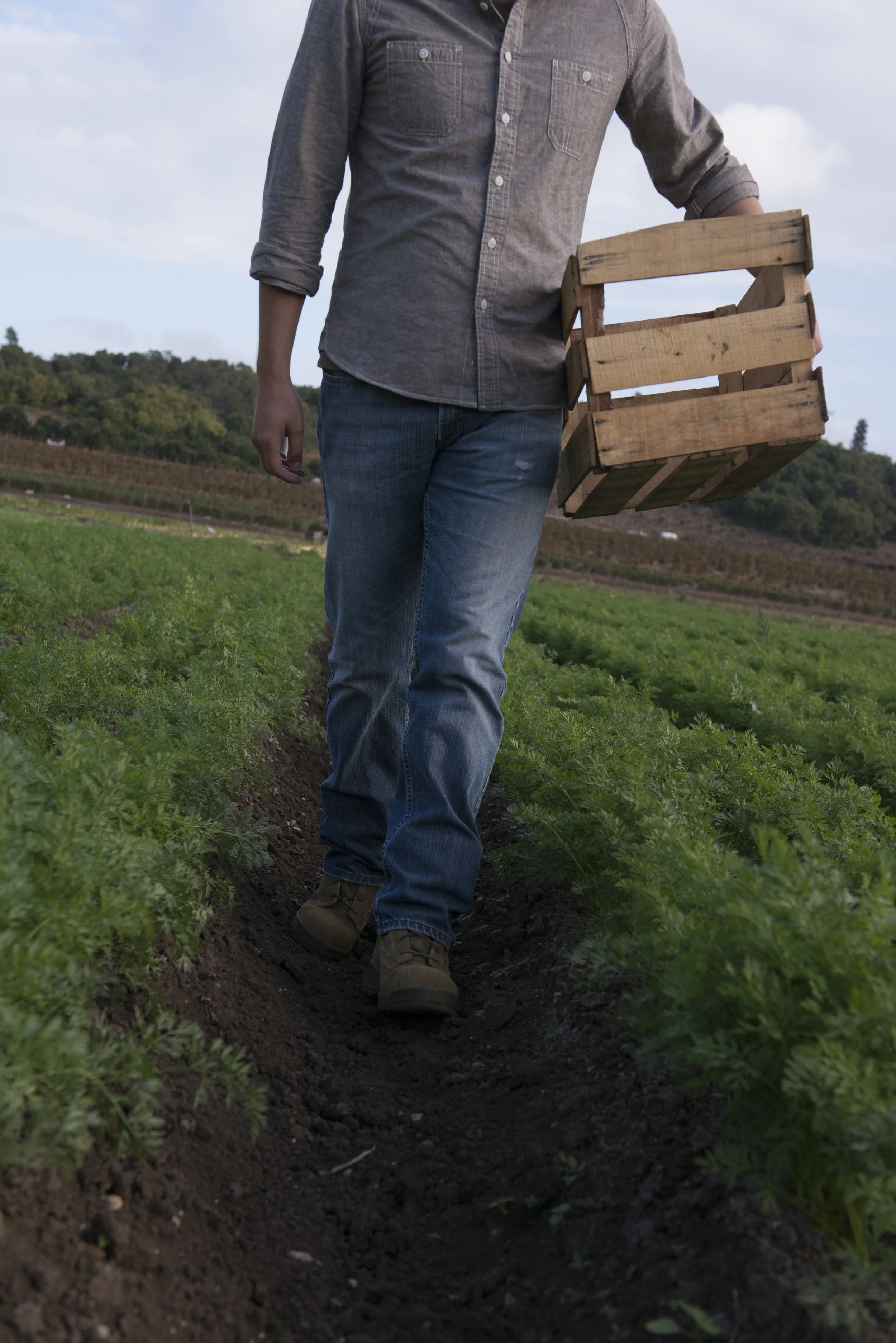 SPICE ISLANDS_725.JPG