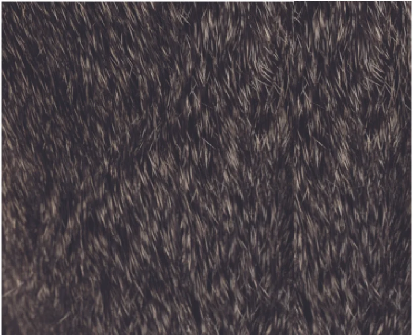 material 1.jpg