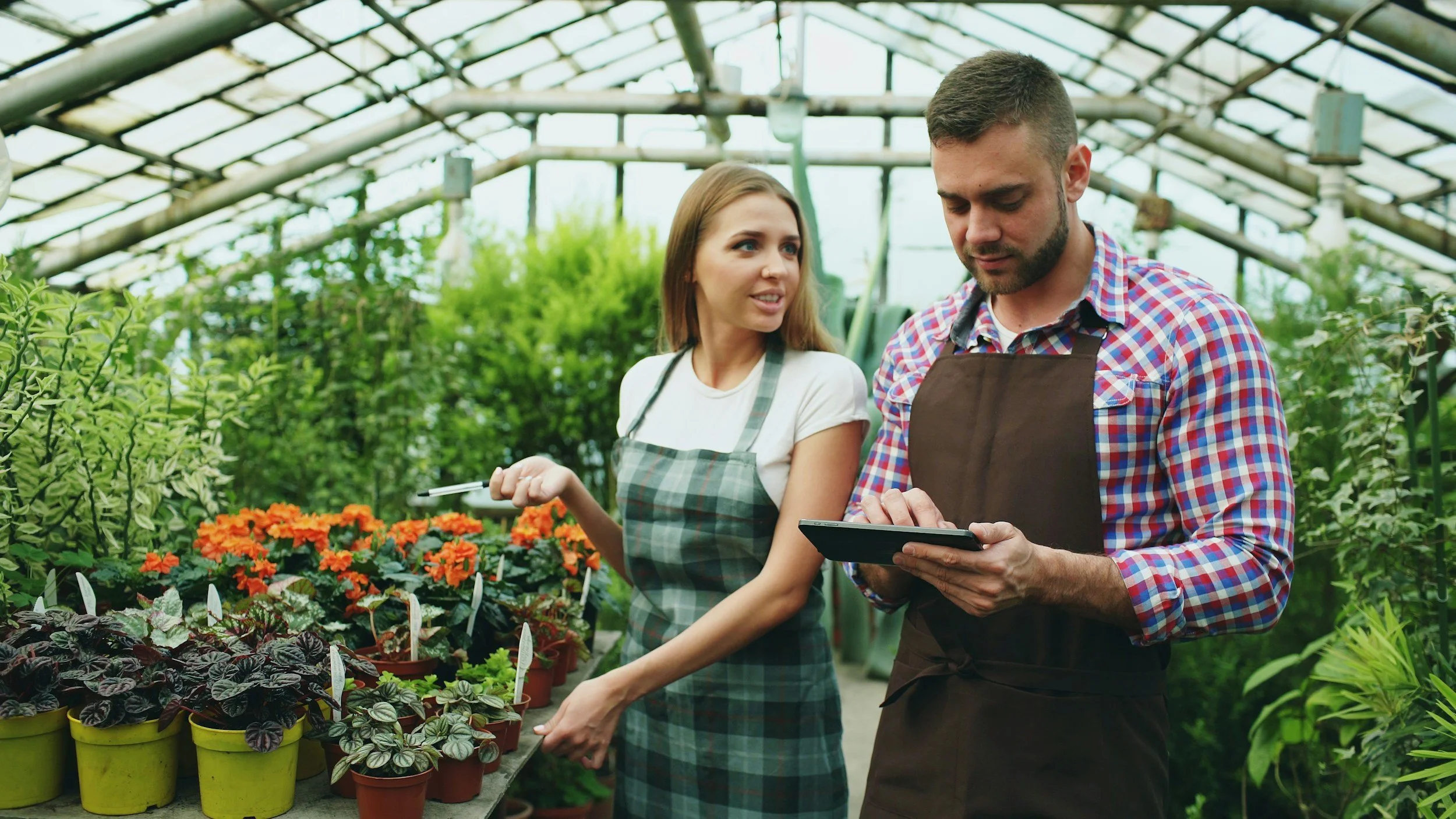 The Seller Who Was Also the ERP