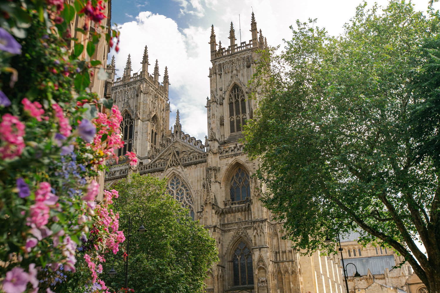 20190716-4V9A7844.jpg