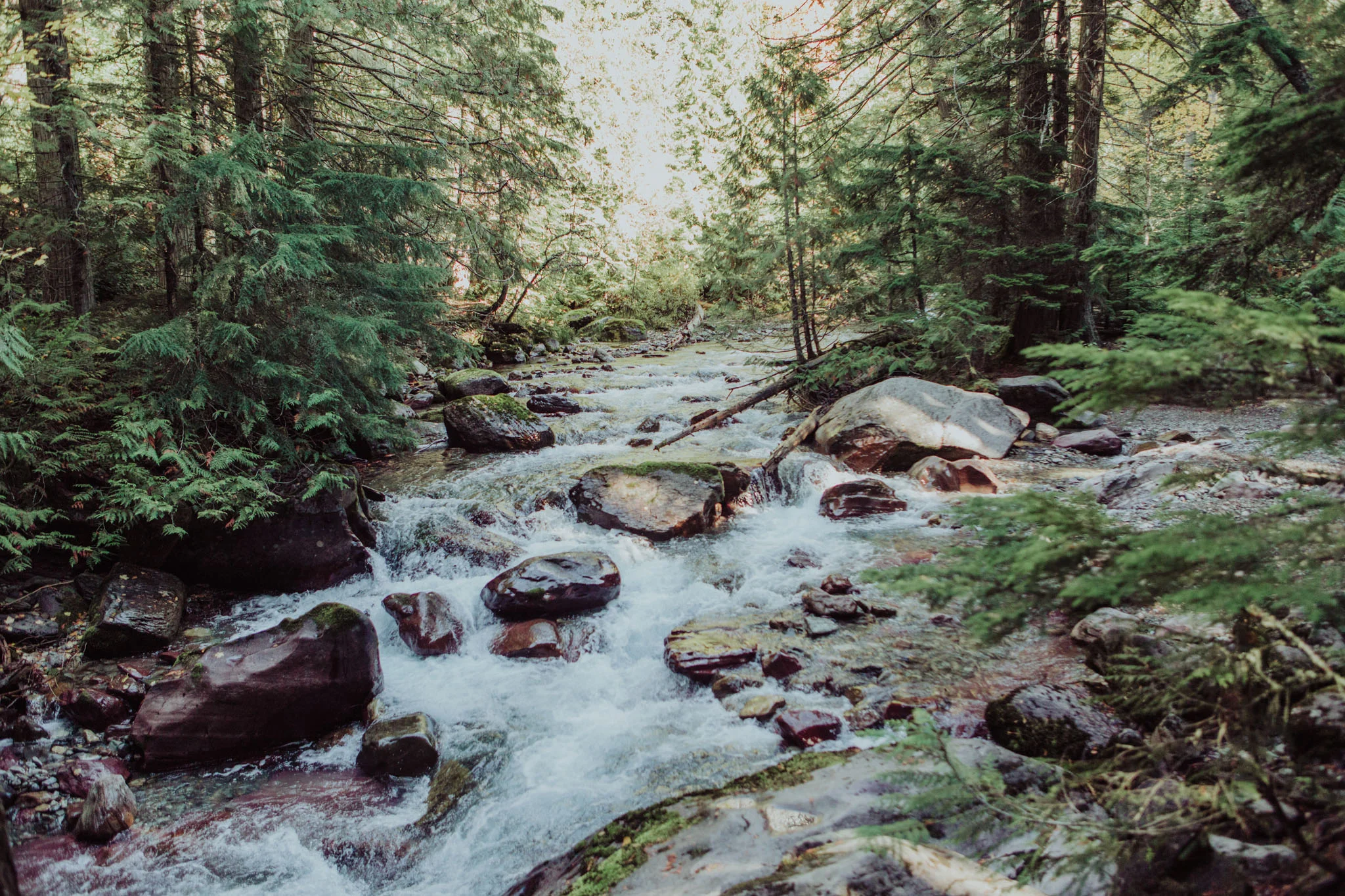 Glacier NP (15).jpg