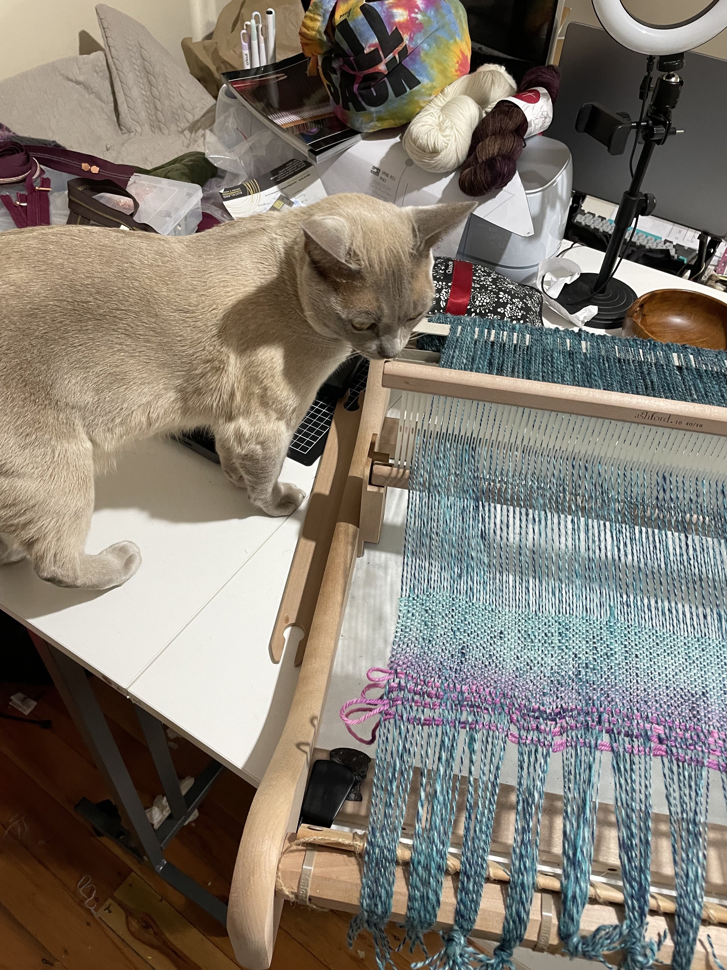 Weaving From Home