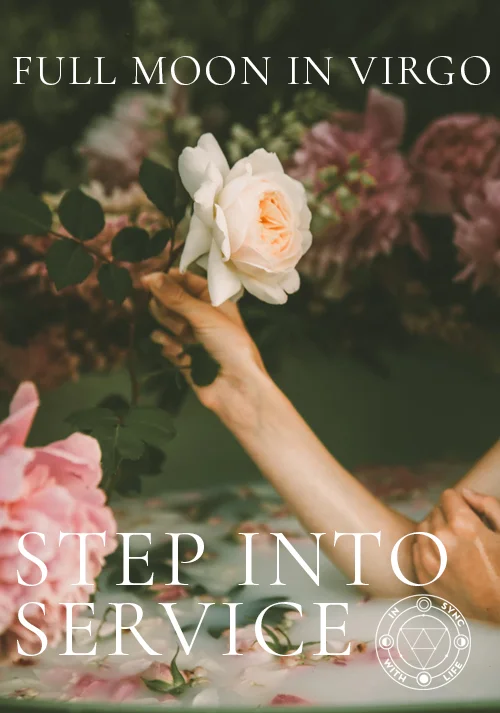 VIRGO-BLOG.jpg