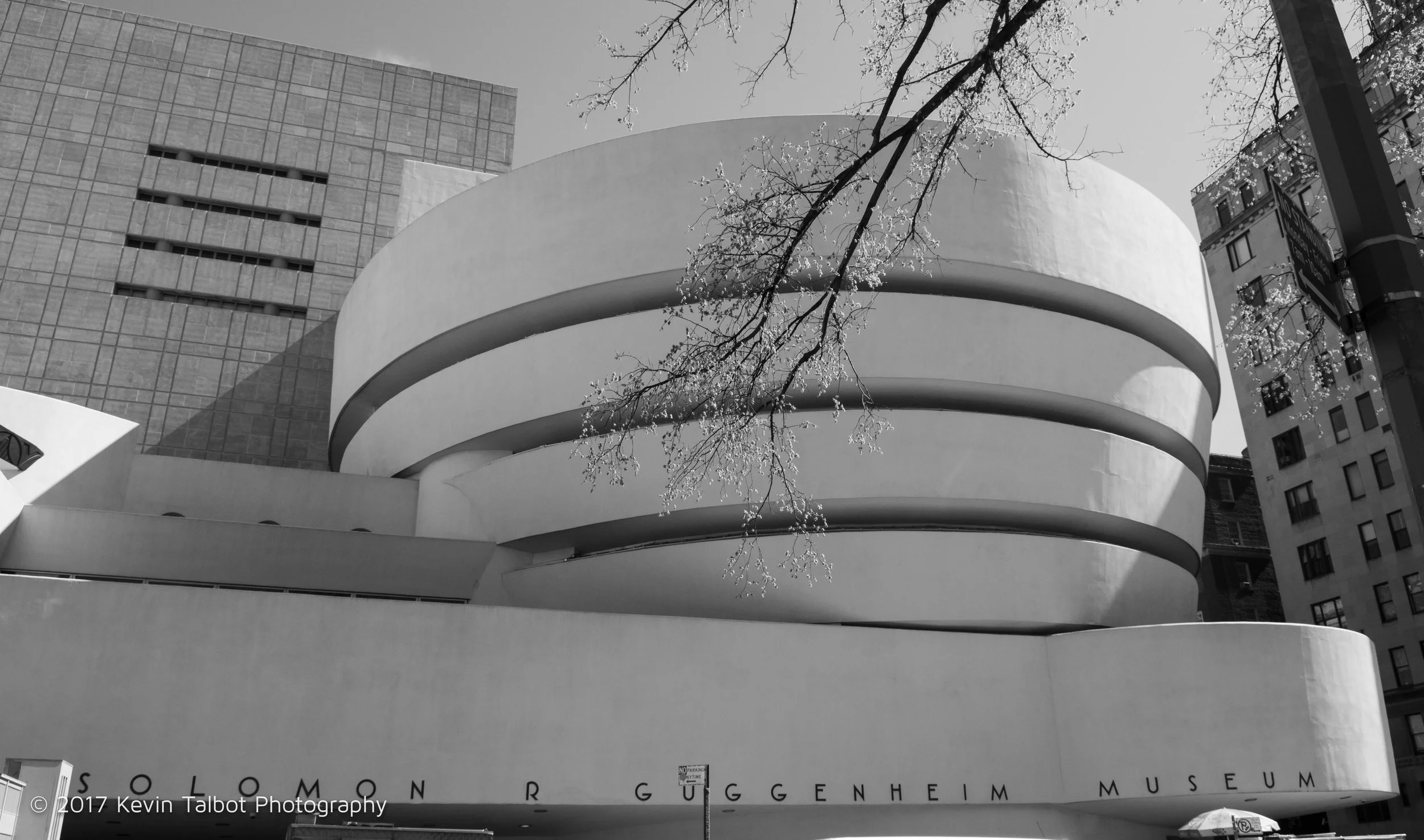 B&W-13.jpg