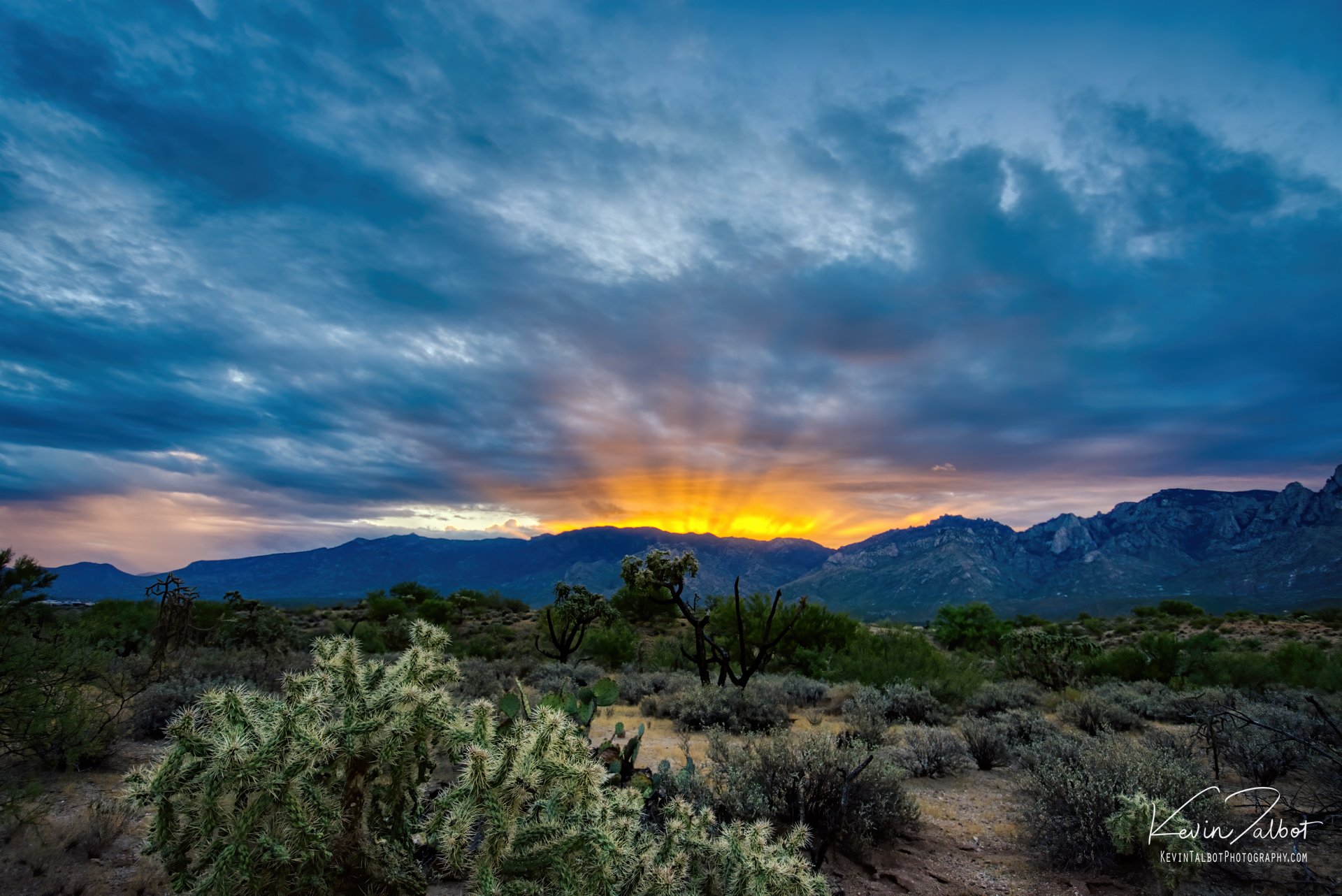 "Tucson Sunrise" 