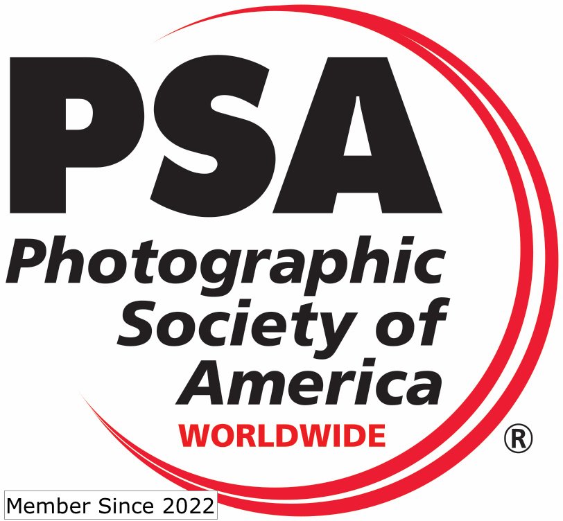 PSA Logo with registration mark