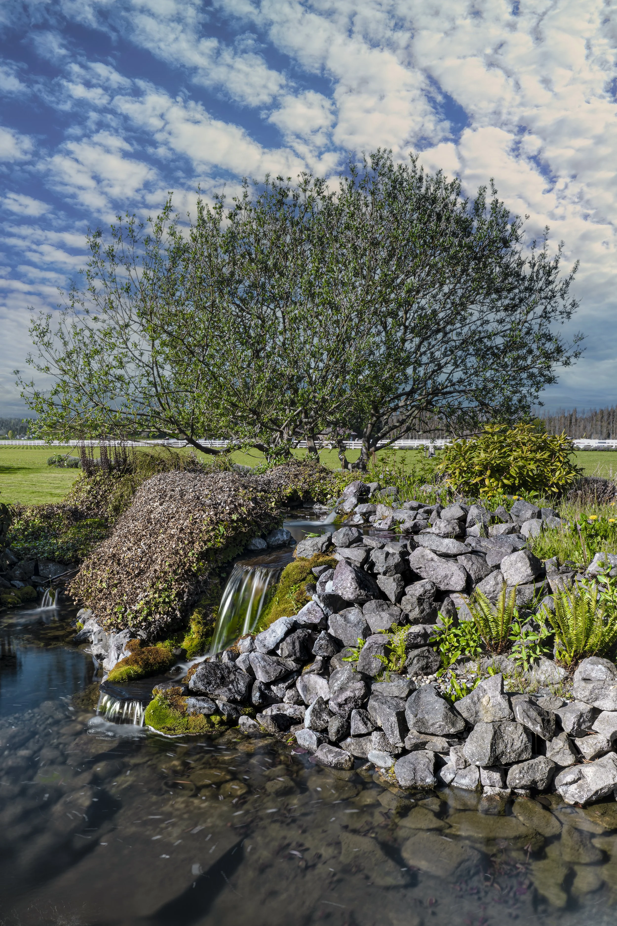 <b>Final image for approval</b>