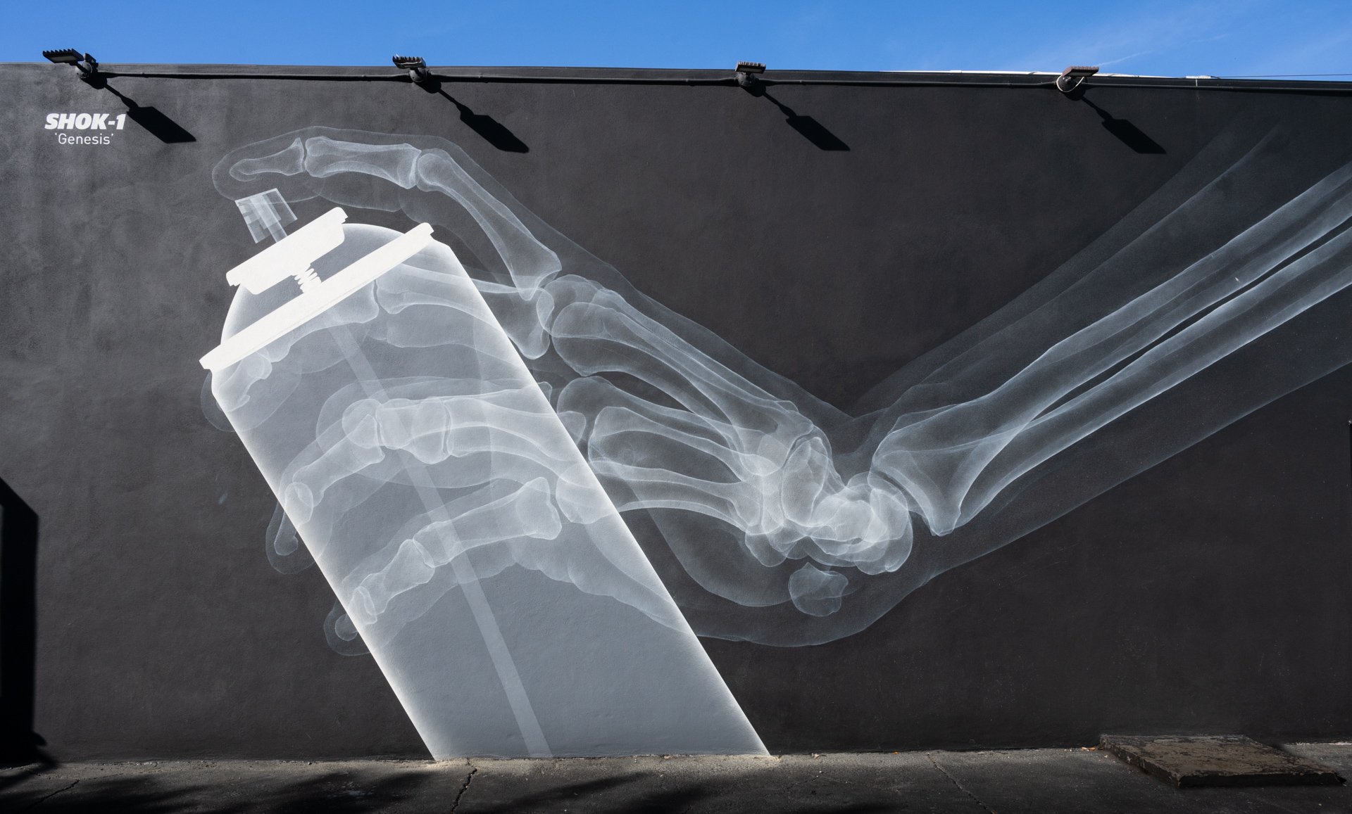 FLA-KT-15_Street Art (Wynwood Walls Miami).jpg