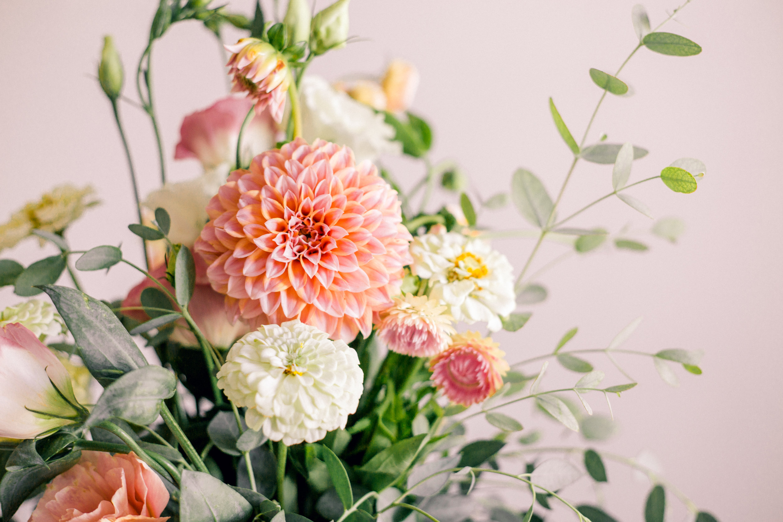 Tierra Blooms-0480.jpg