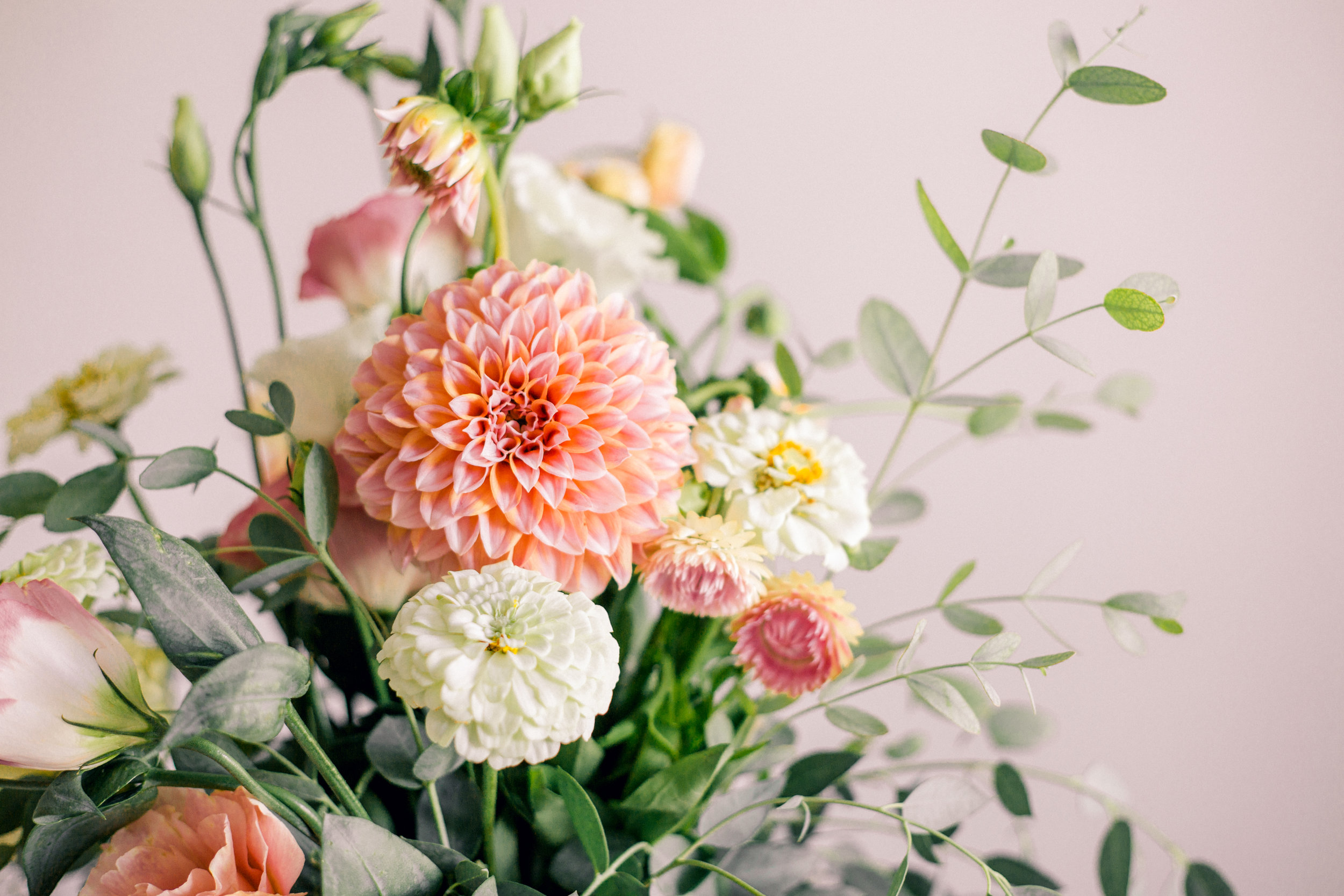 Tierra Blooms-0481.jpg