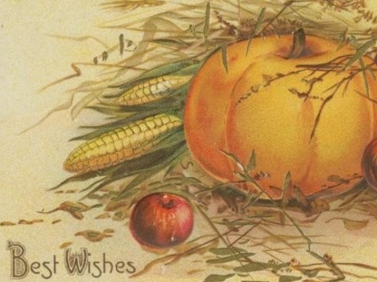 pumpkin.jpeg