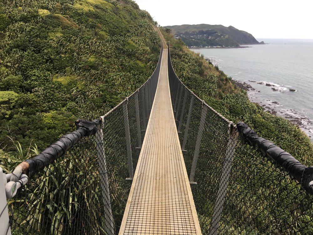 Bouncy swing bridges!