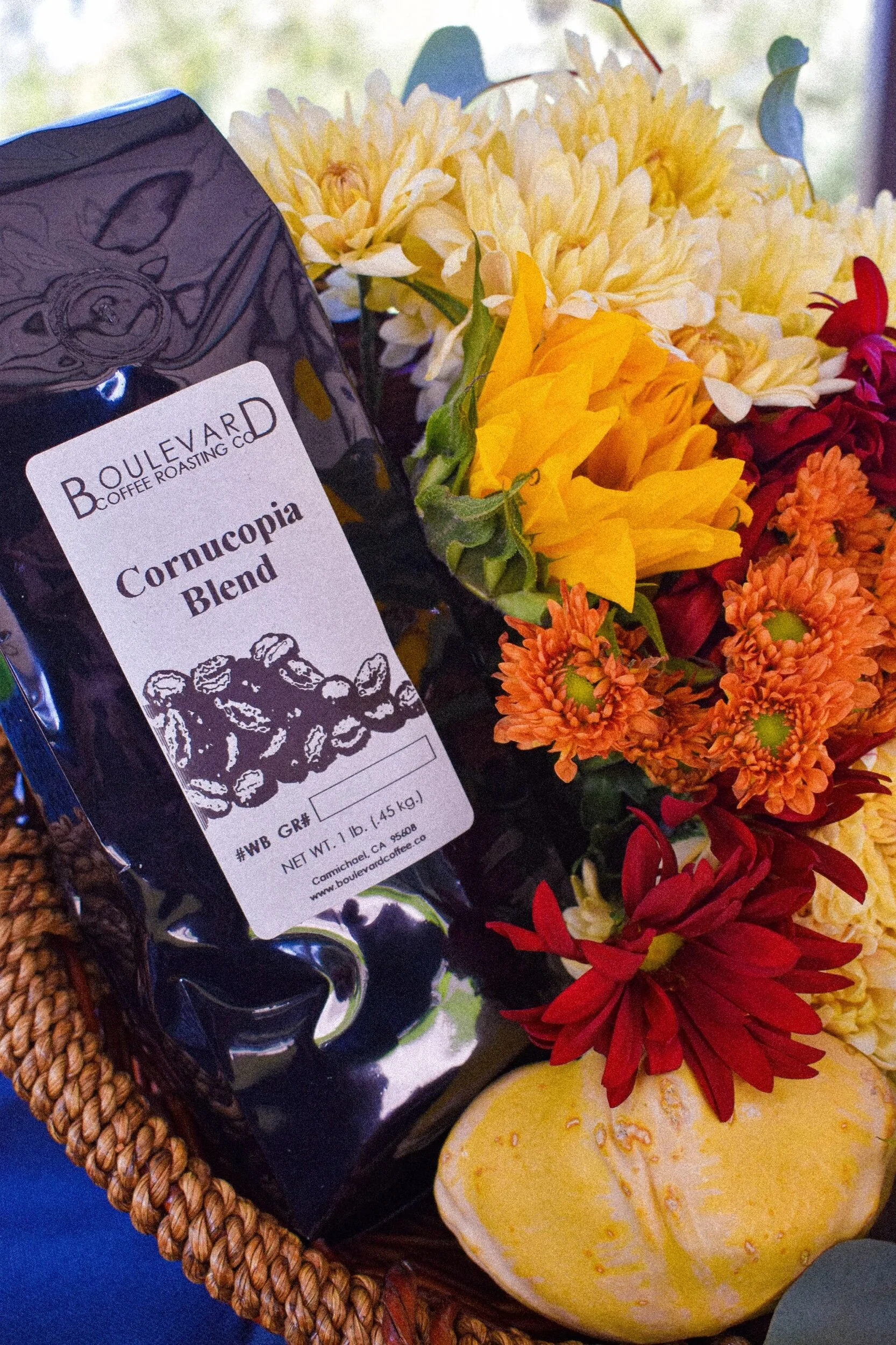 3331D633-E142-48C9-994E-02FFFA8C6A49