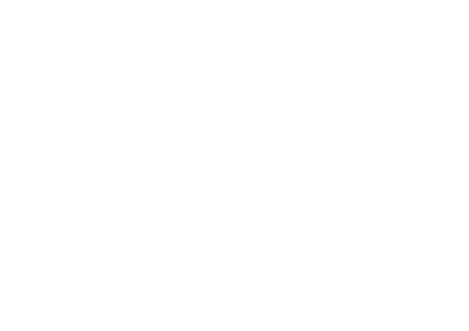 Williamsburg Salsa Orchestra