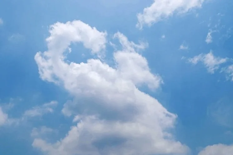 28 Days of the Omer. That is 4 Weeks.