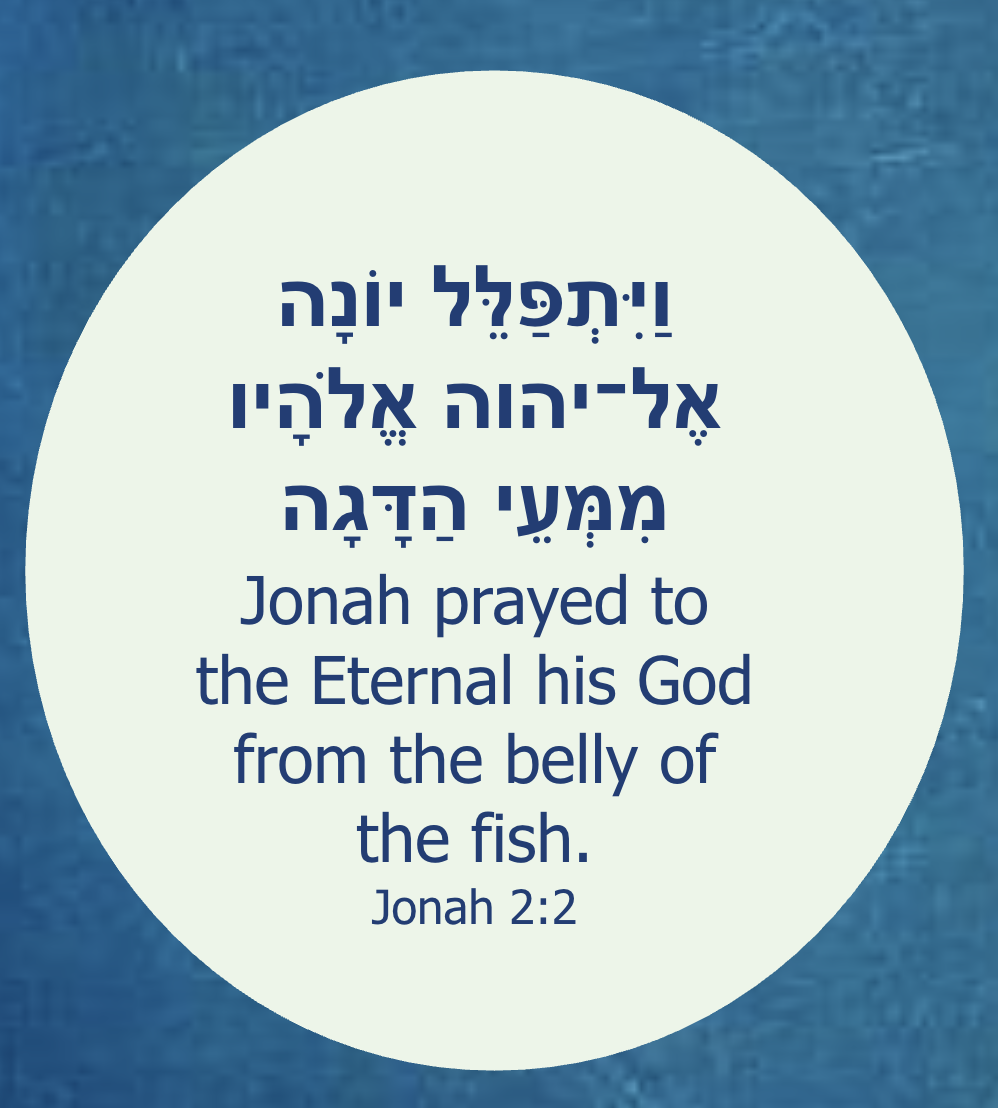 Elul Journaling Club: Beginning Thursday August 13th