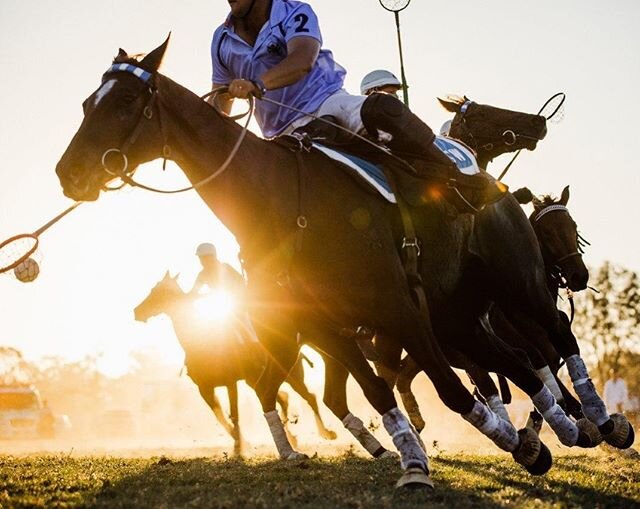 As the sun sets on the twelve month anniversary of the greatest Polocrosse show on earth...what better way to spend your time than bingeing on every thrill &amp; spill of the @adina_watches Polocrosse World Cup &amp; @barastoc_horse  Inter-State Seri