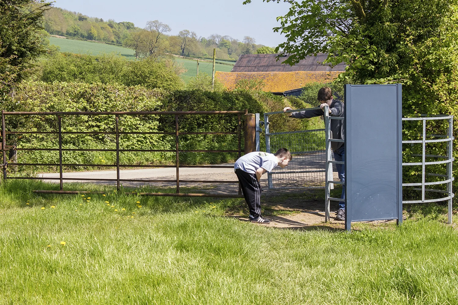 Matthew and Harrison inspecting spiders May 6 2018.jpg