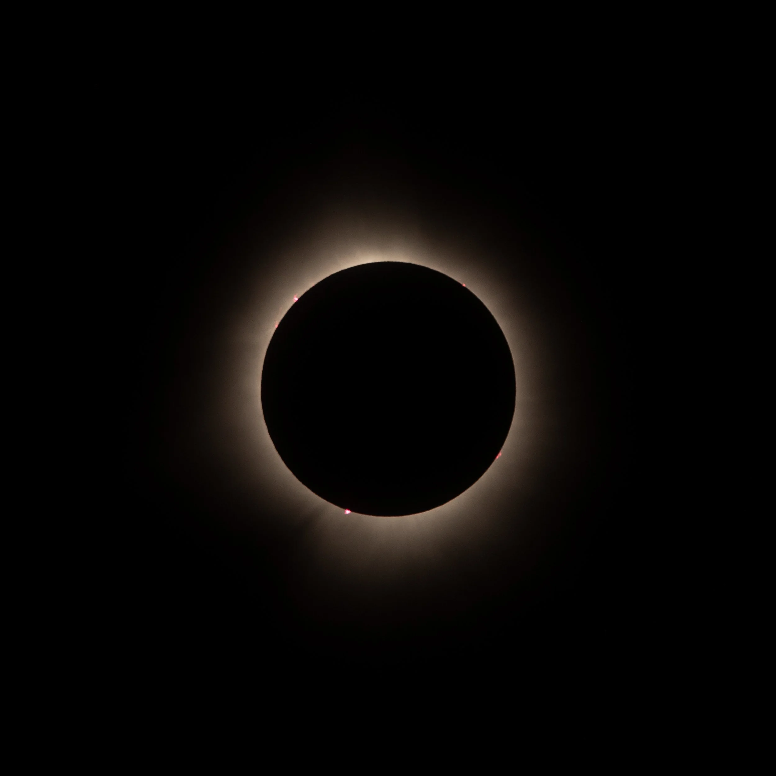 Eclipse 600mm-331.jpg