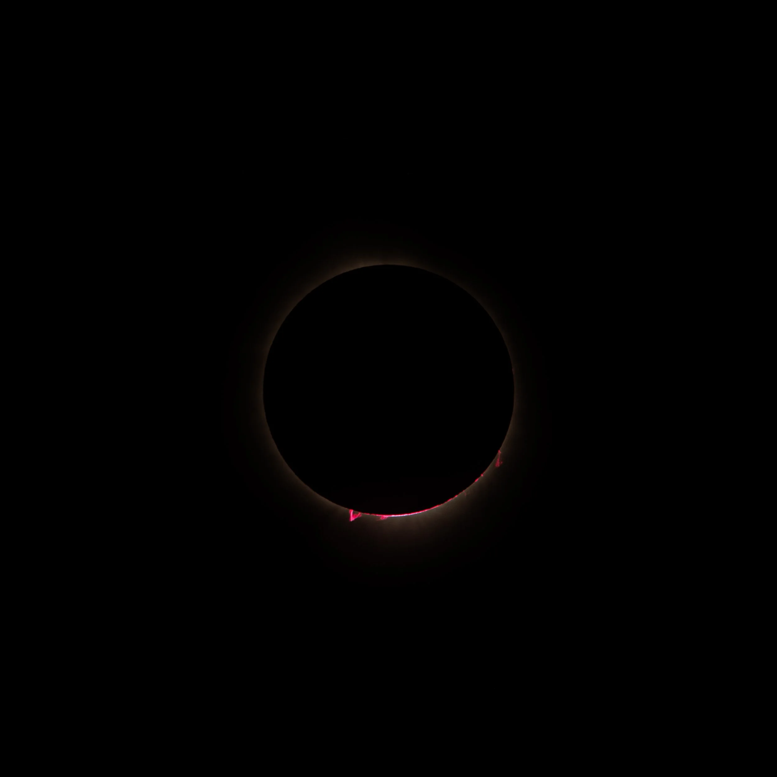 Eclipse 600mm-395.jpg