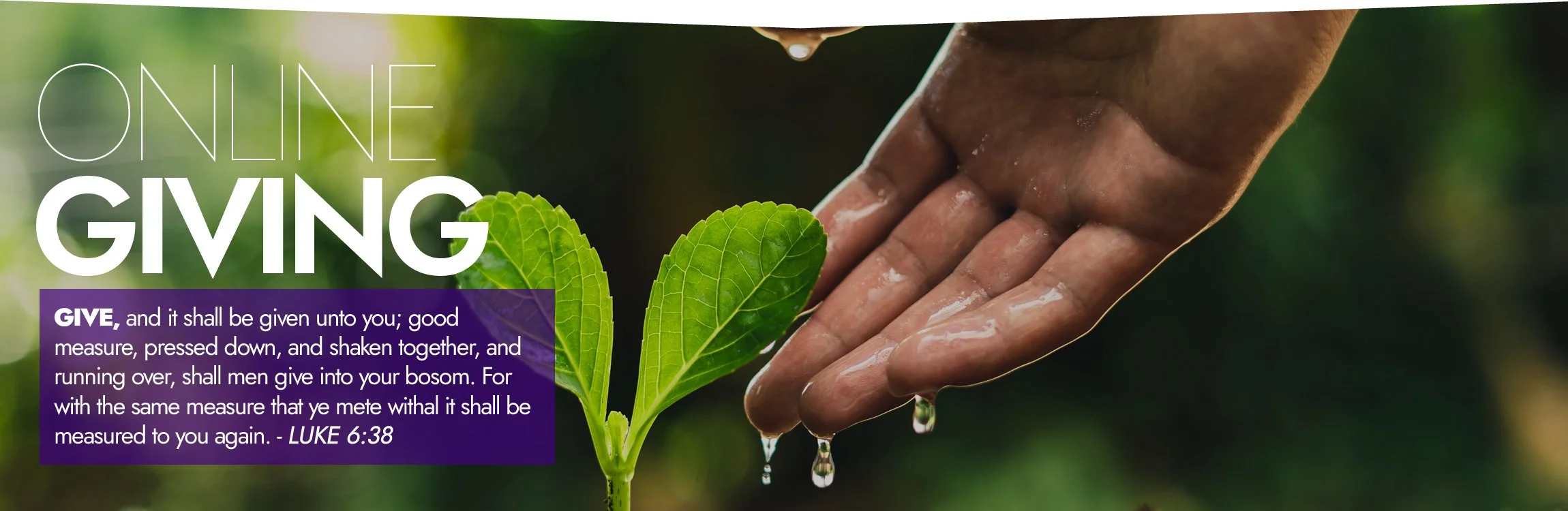 pageheader_giving1.jpg