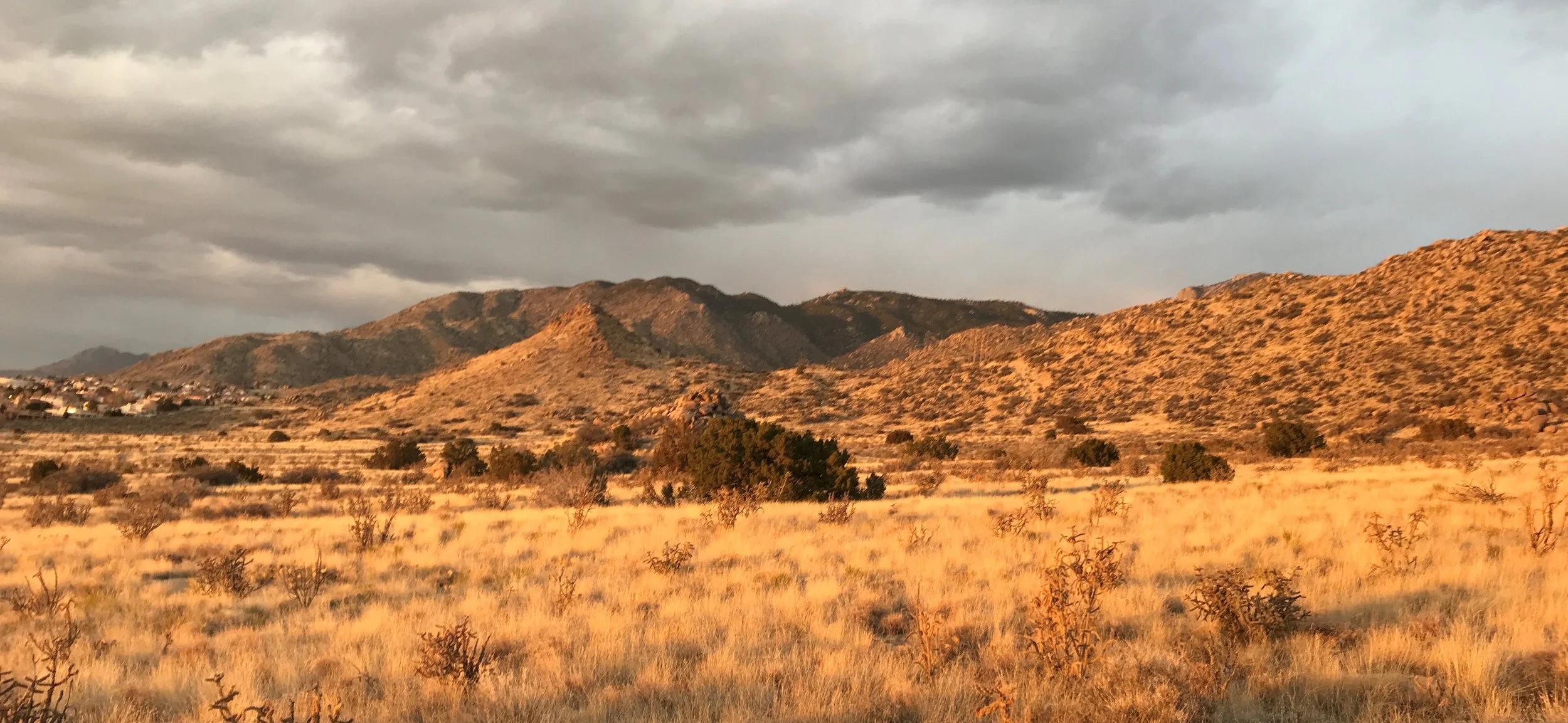 Hiking In Albuquerque 5 Amazing Hikes