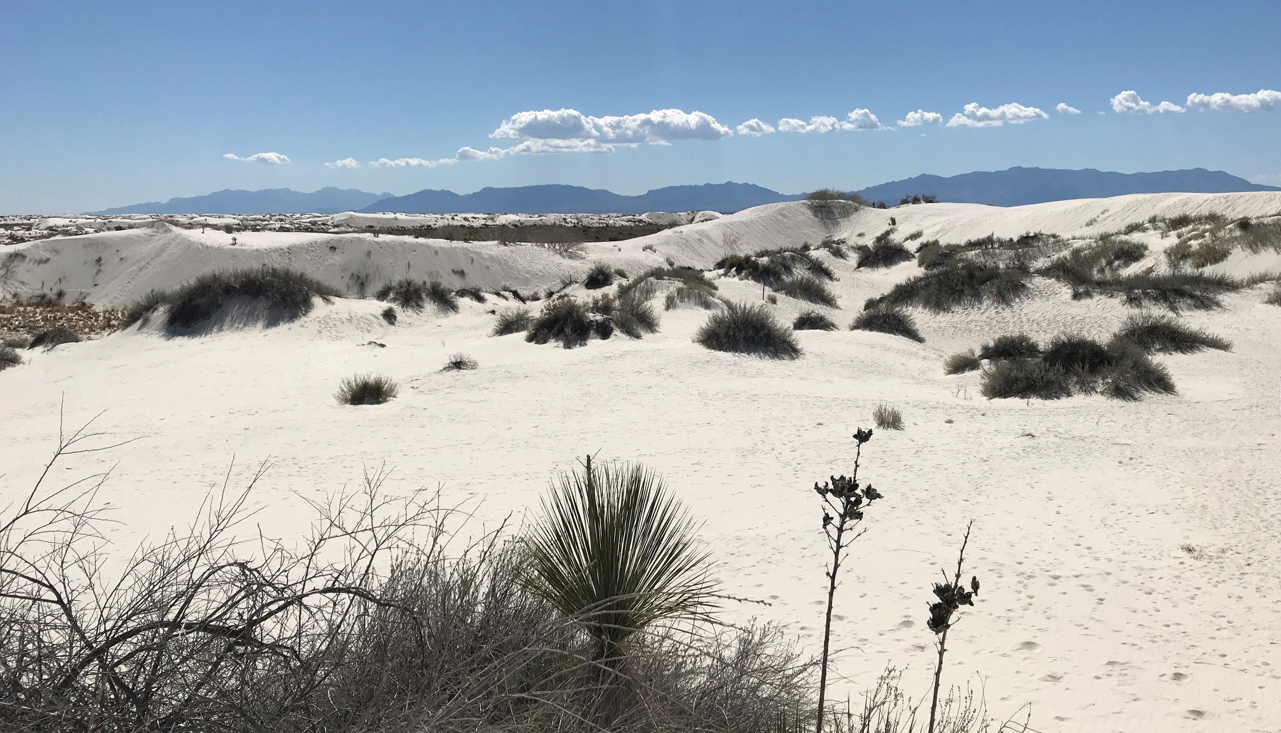 Dune Life Nature Trail