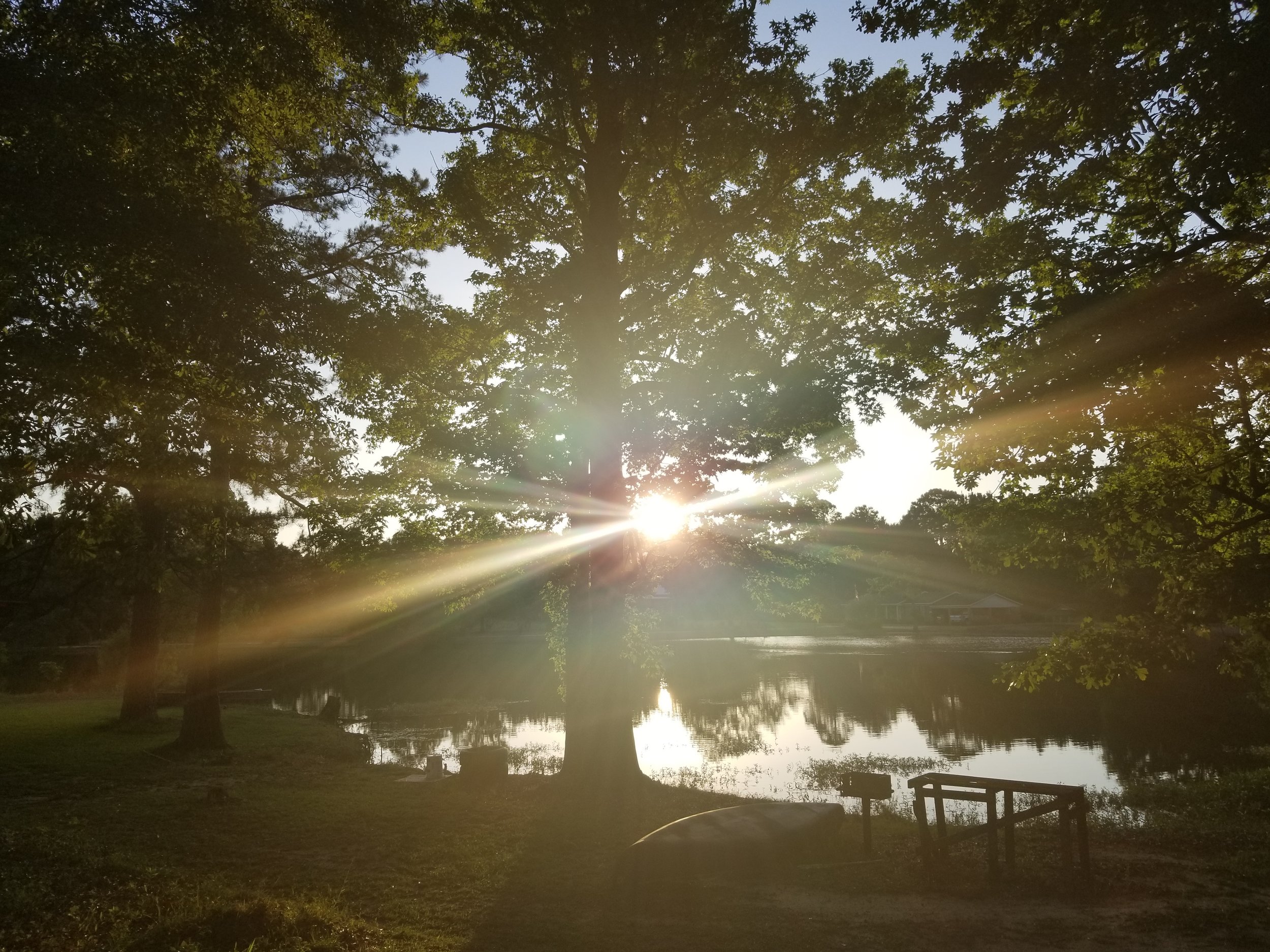 We really enjoyed our view of the Duck Pond