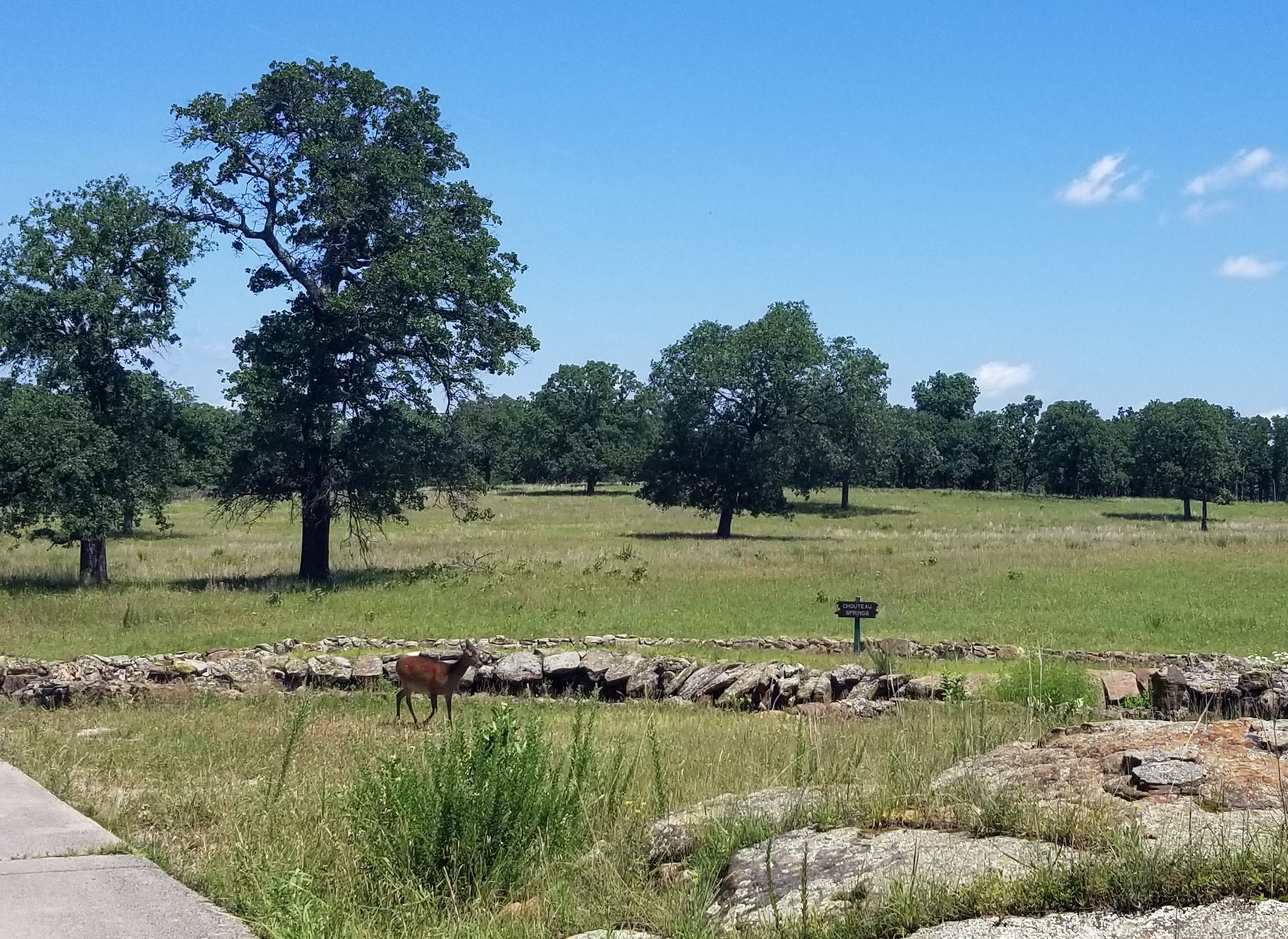 First thing we saw when we drove onto the preserve… a deer. Video can be found here