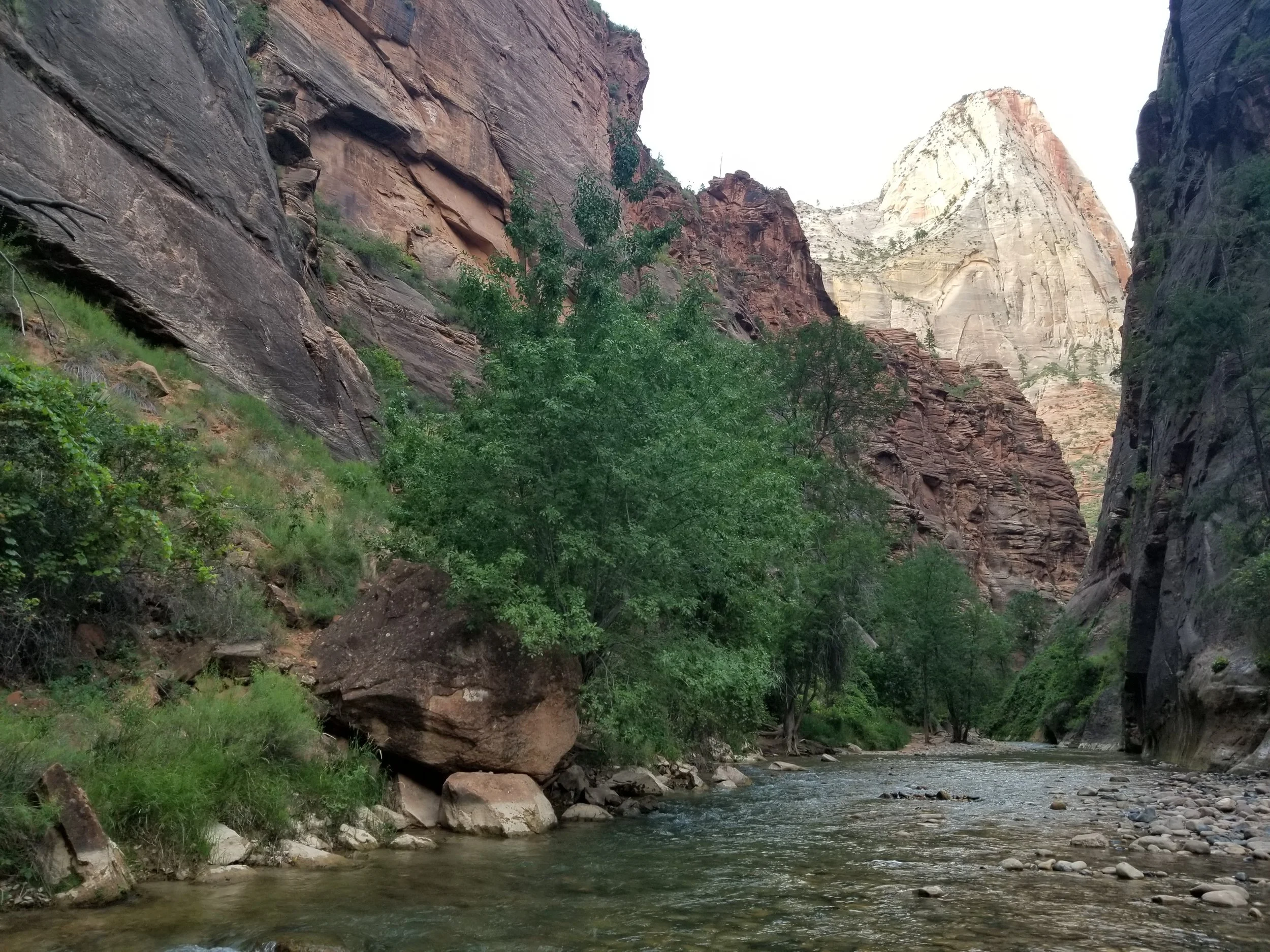 Best Summer Hikes at Zion National Park