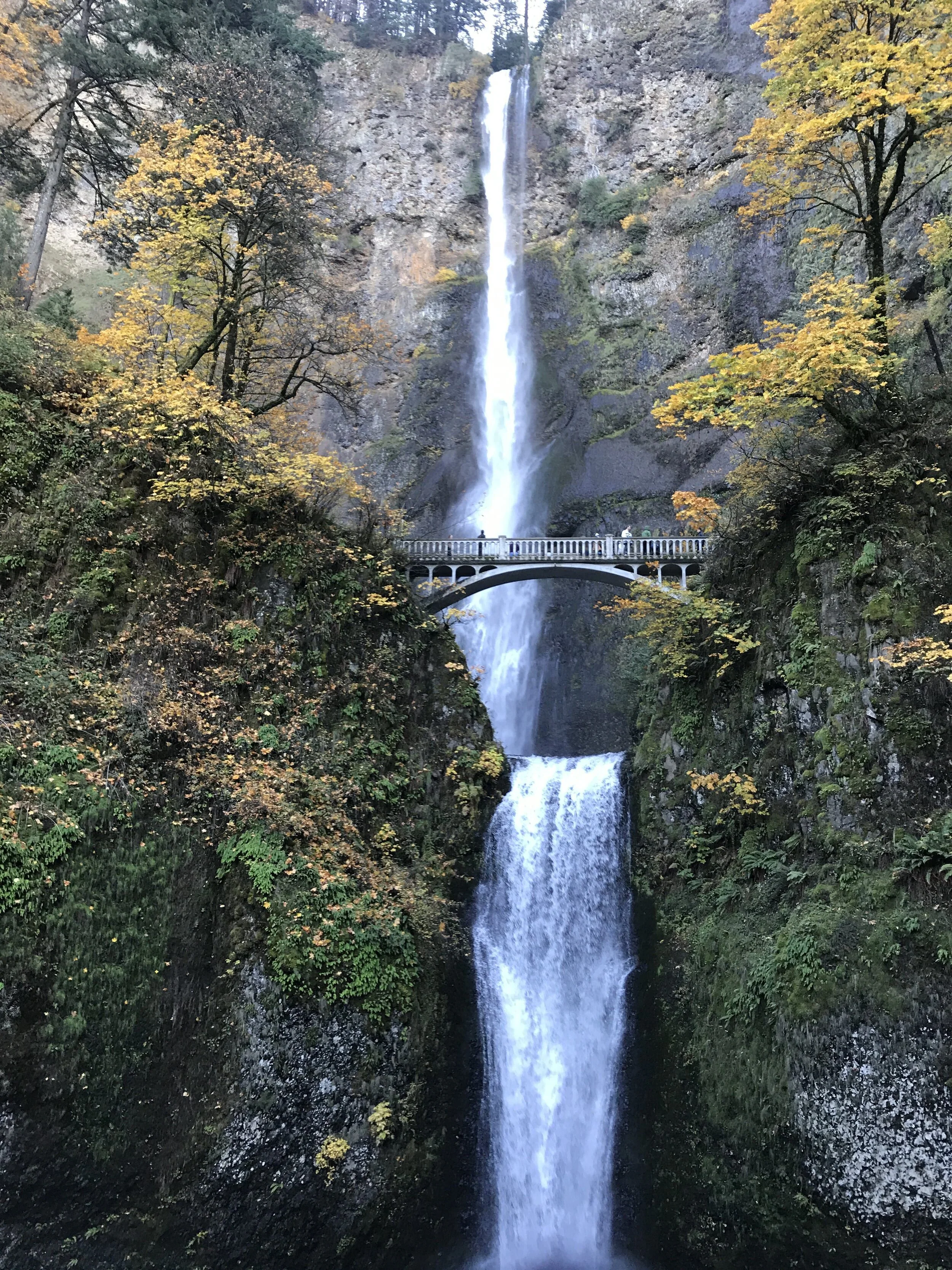 2 Days in Portland (Eat, Drink, Explore)