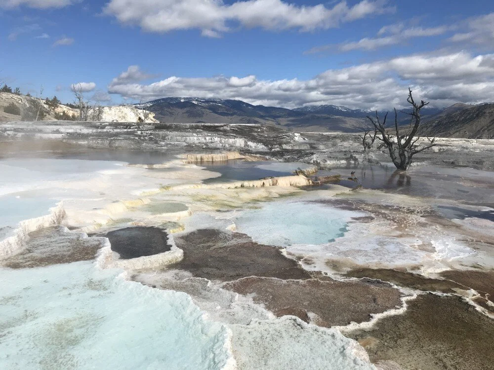 Yellowstone National Park Photo Gallery