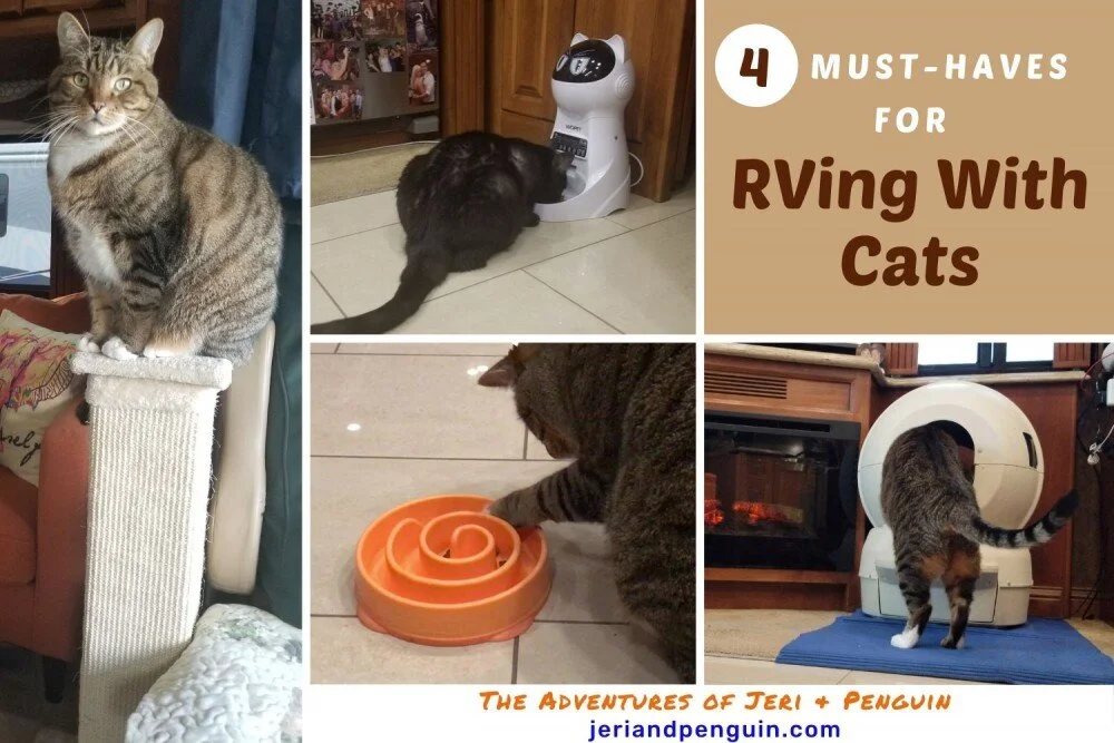 4 Must-Haves for RVing with Cats