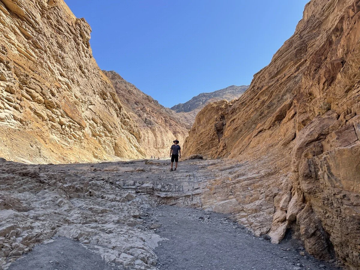 Penguin on Mosaic Canyon