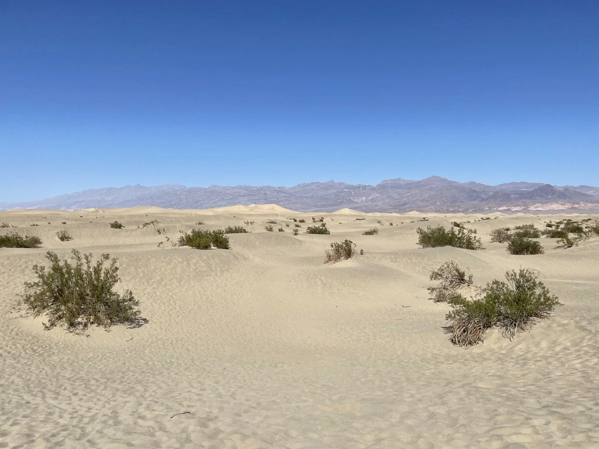 Mesquite Flat Sand Dunes in the background