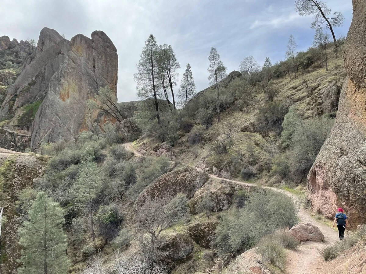 Pinnacles National Park in California (Camping, Trails, Weather)