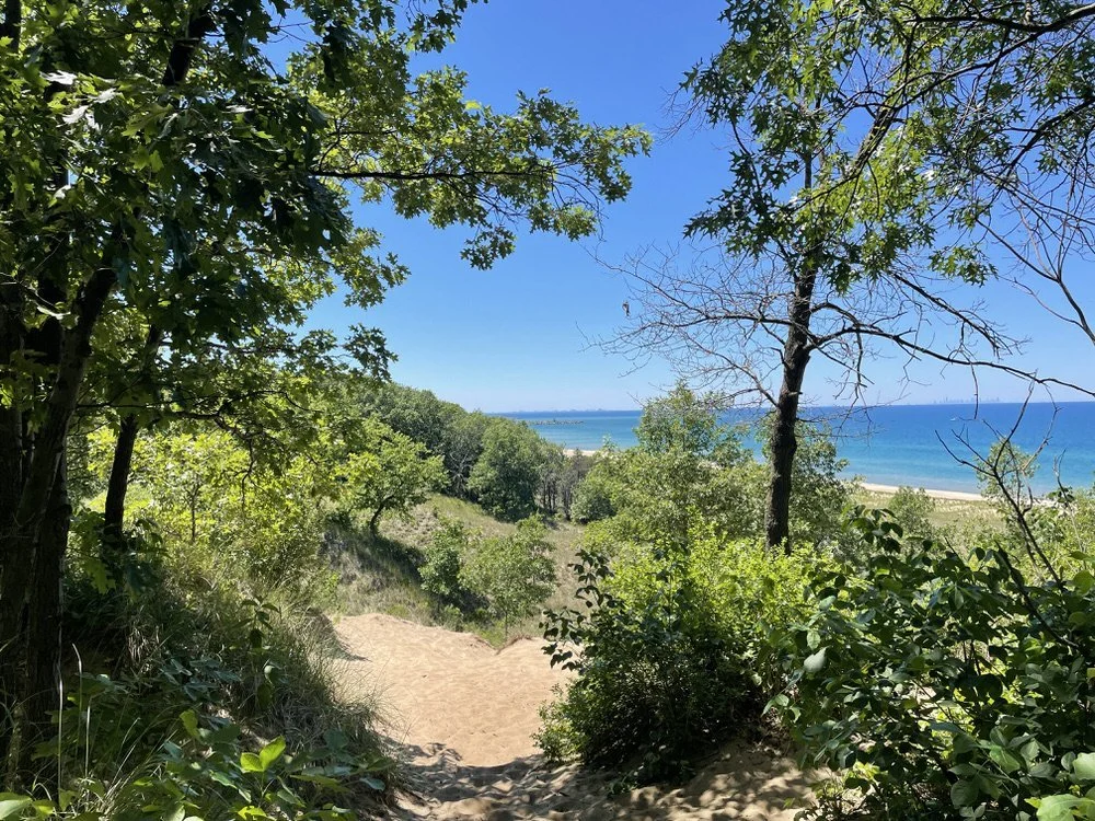 Nice Beaches at Indiana Dunes National Park