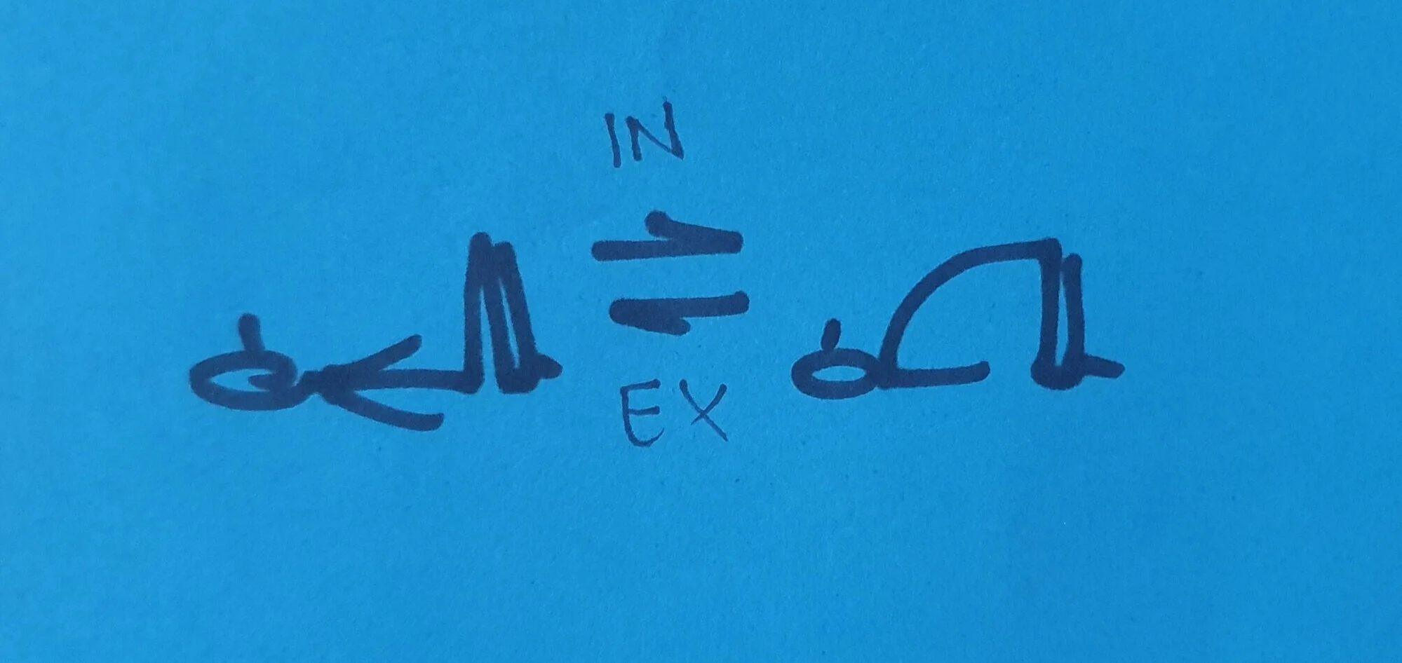 Dvipada pitham as a counter pose. Can be used to counter supine forwards bend such as happy baby or a laying twist.