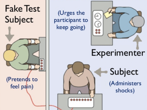 Image result for stanley milgram obedience study