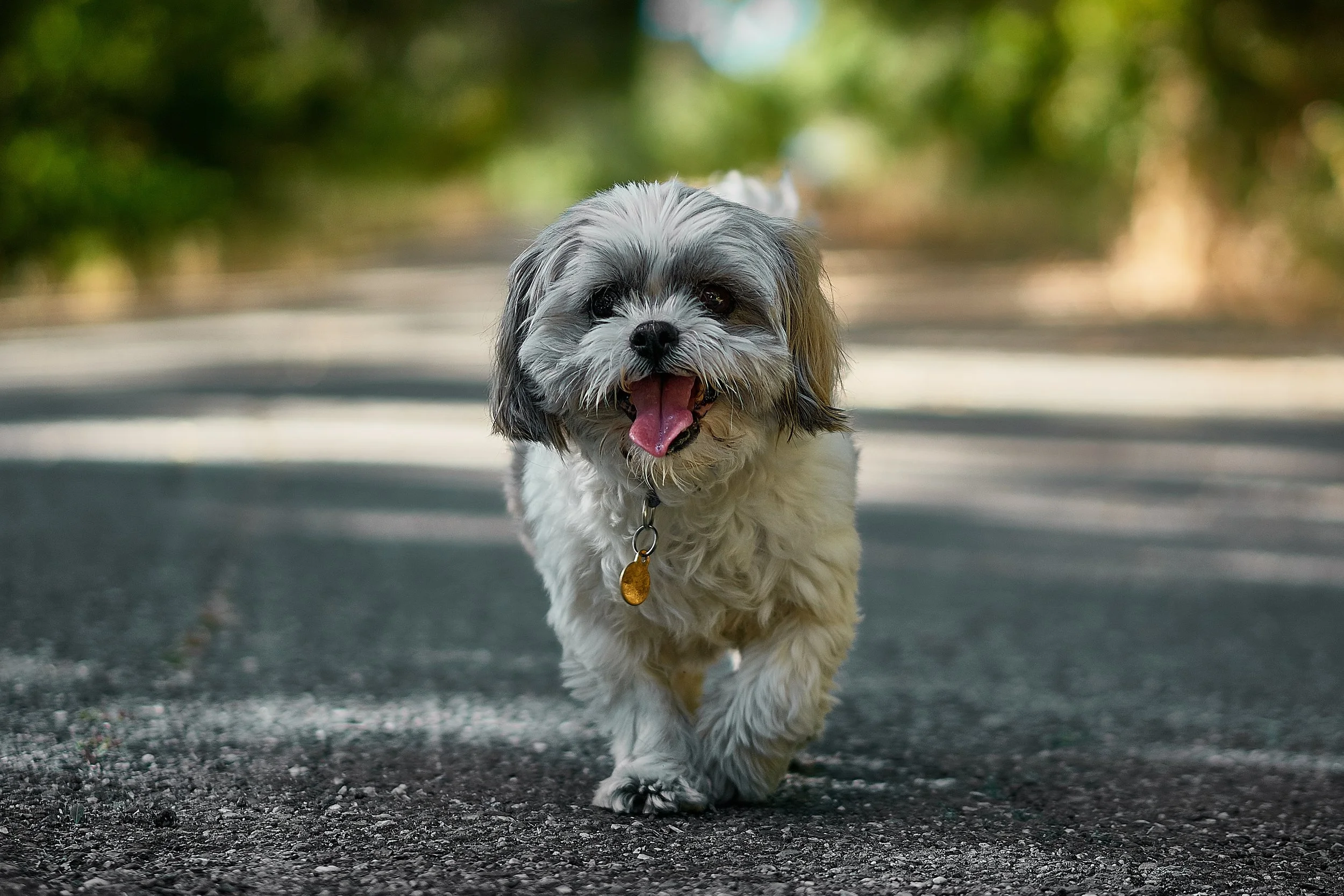 nikolay-tchaouchev-785309-unsplash.jpg