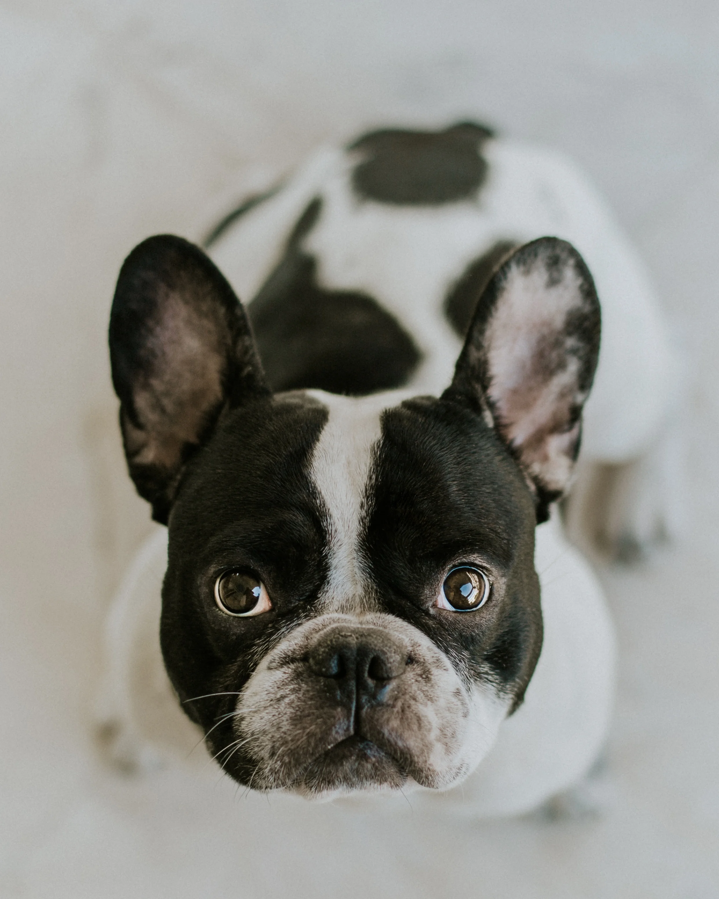 angelos-michalopoulos-742054-unsplash.jpg