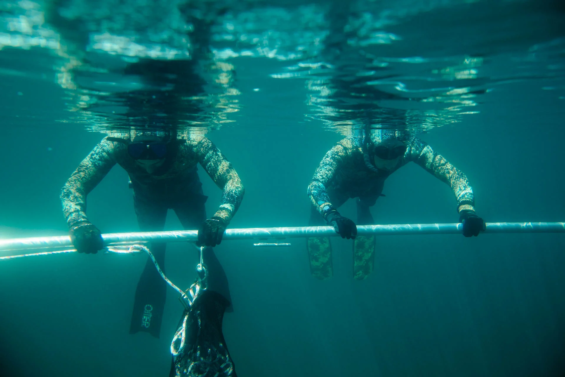 Bottom Dwellers Freediving Bottom Dwellers Freediving Home